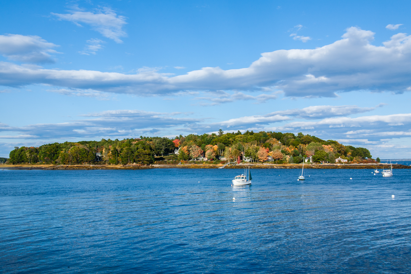Sailboats anchored off a wooded island shore in autumn in Maine