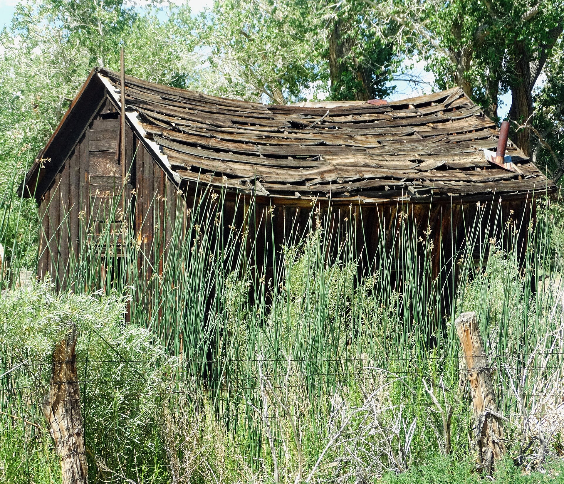 A weathered wooden cabin with a tin roof in Round Valley, near Bishop, California