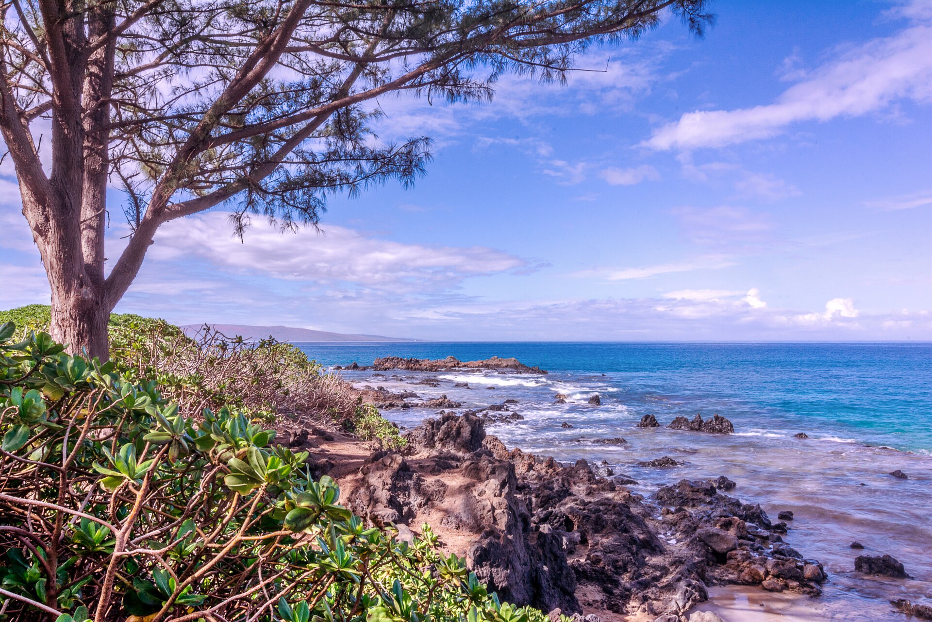 Rocky coastline north of Hana Hawaii