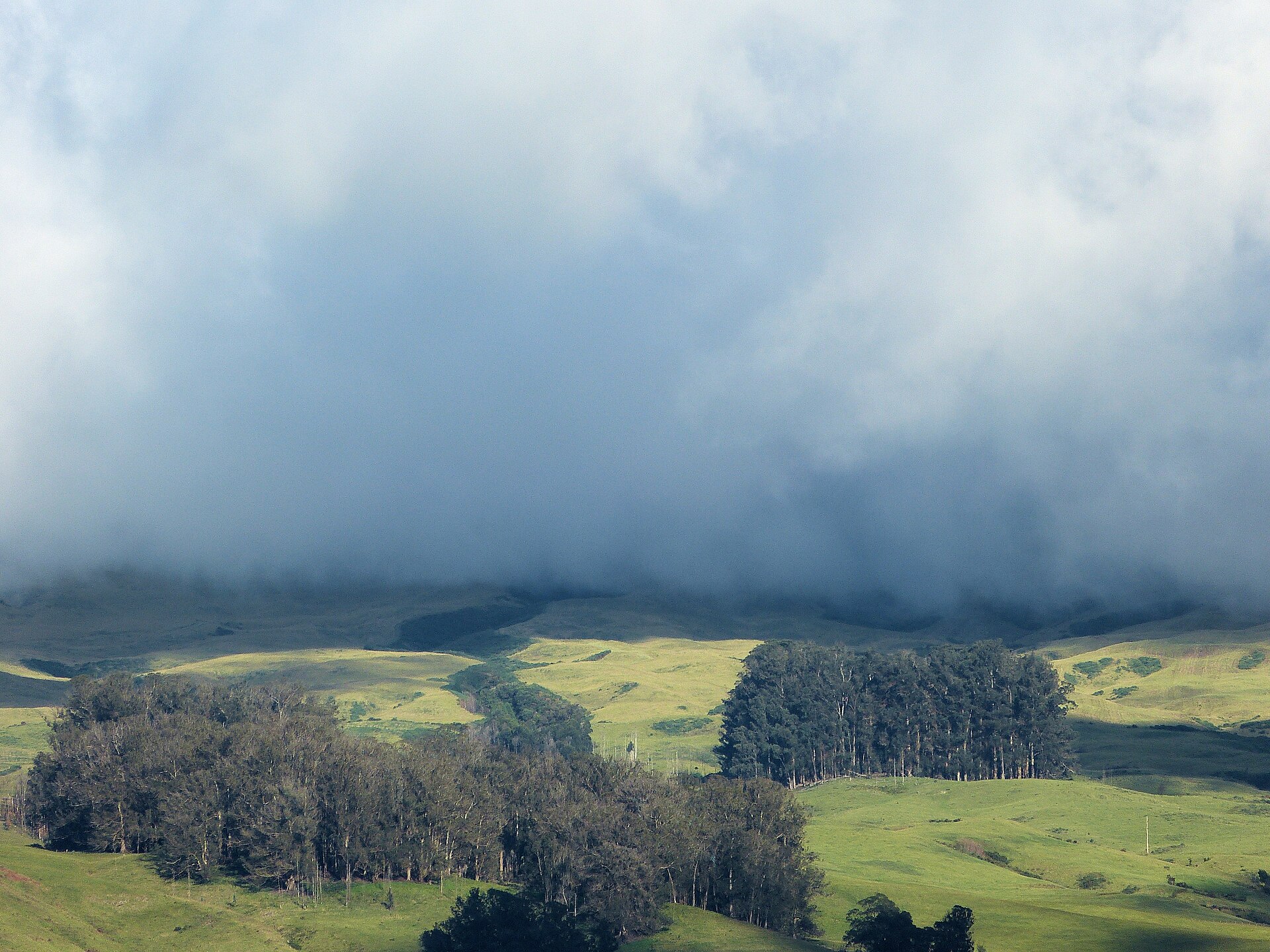 Dark storm clouds hanging over rolling green pastures dotted with tree groves.