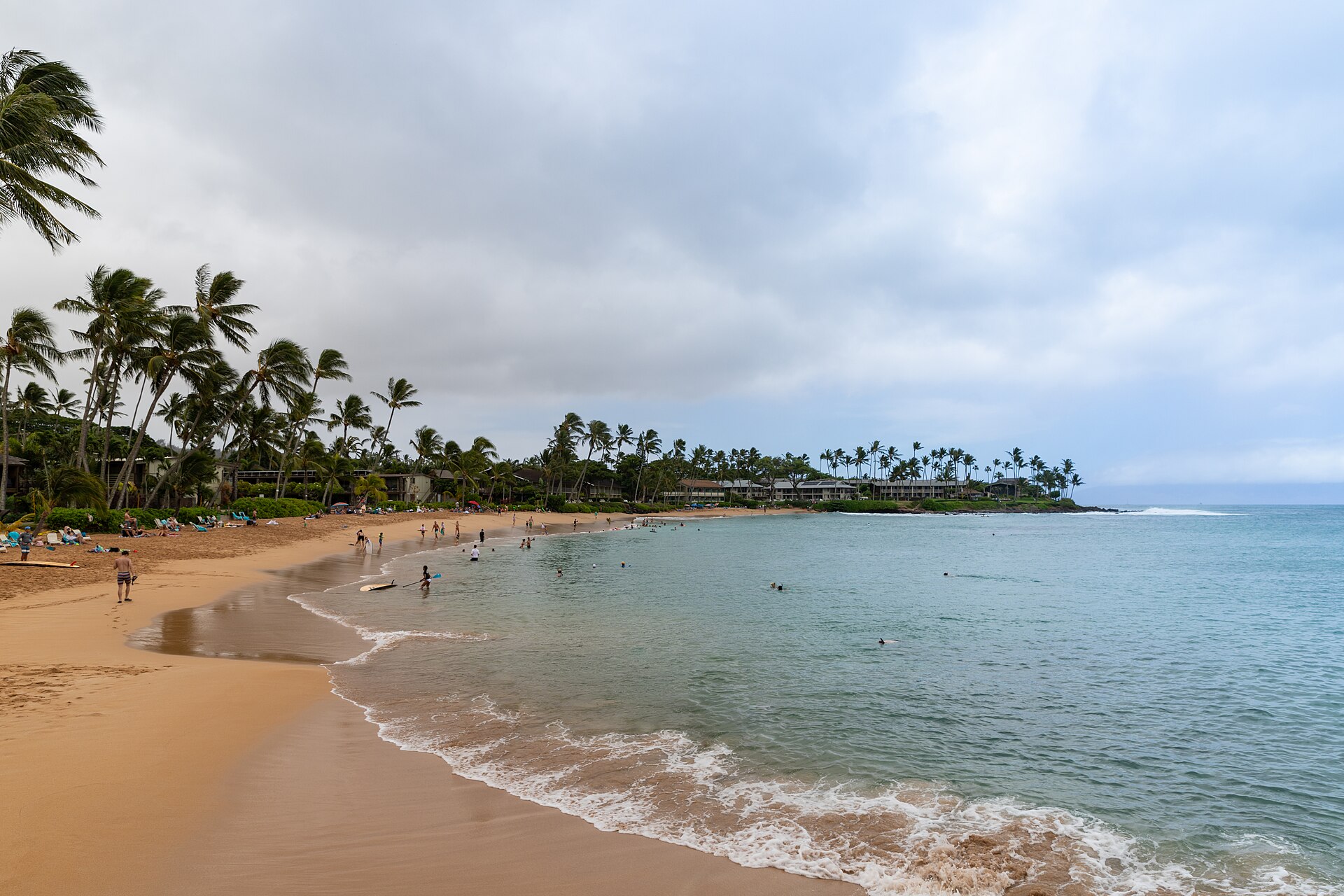 A curved sandy bay lined with palms, with swimmers and paddleboarders in calm turquoise water.