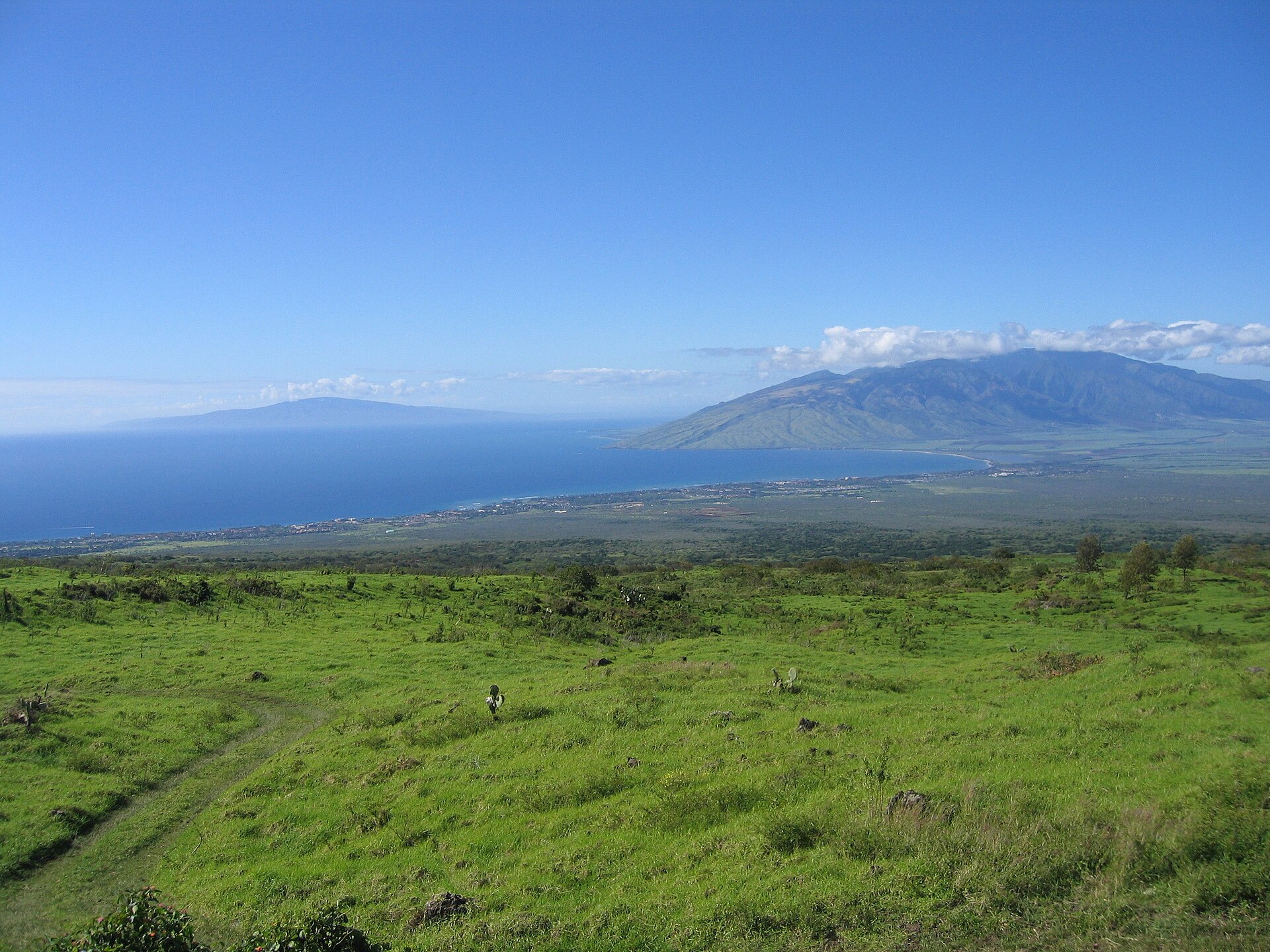 Green pastureland sloping down to the blue ocean with the West Maui Mountains beyond.