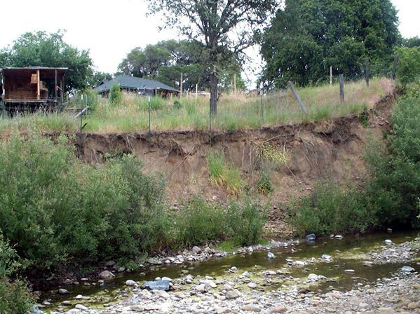 A creek with an eroded bank running through the Boonville California area.