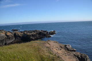 A grassy bluff above a small rocky cove with calm blue water.