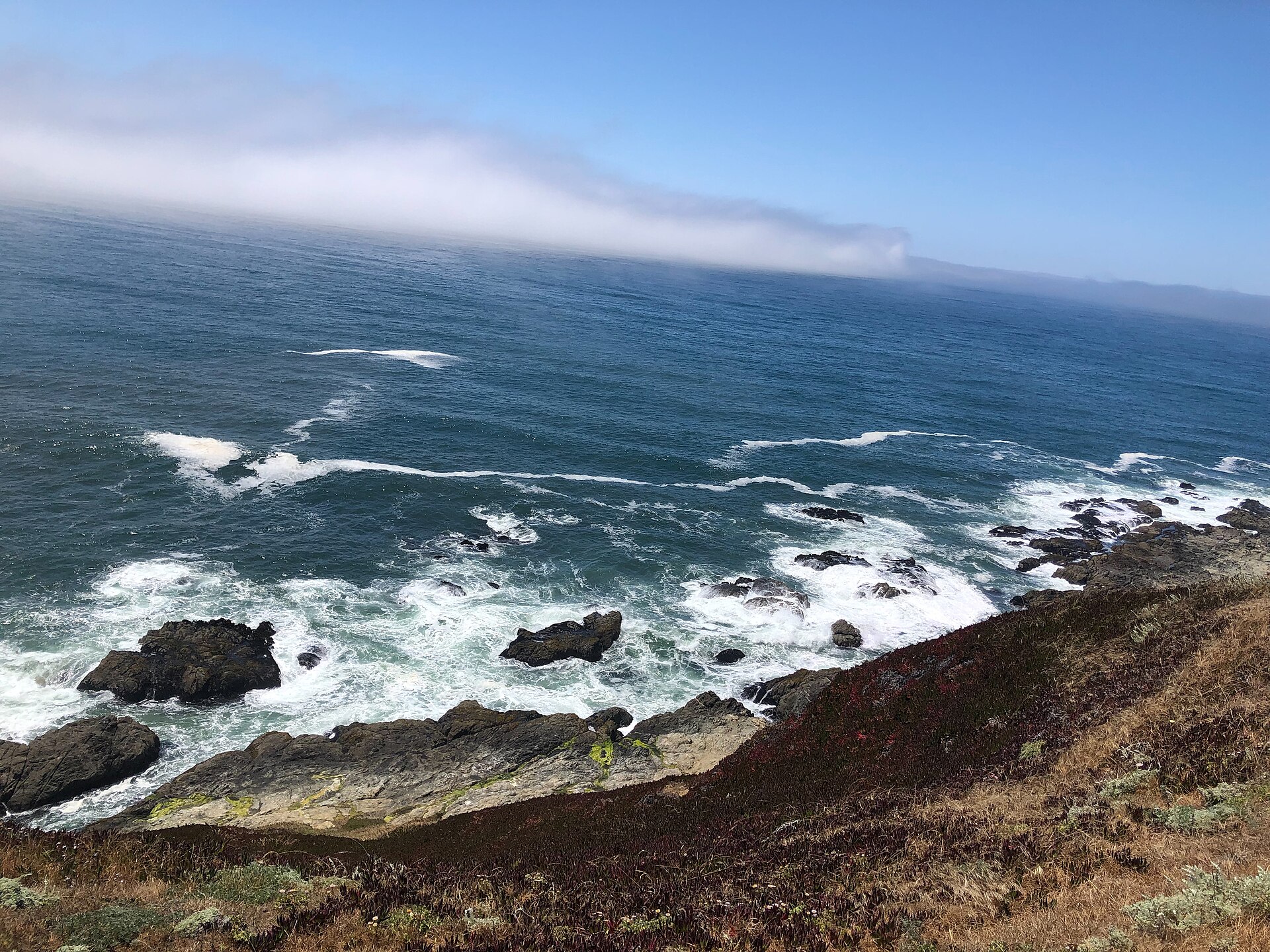White surf breaking on dark rocks below a grassy bluff under a marine layer.