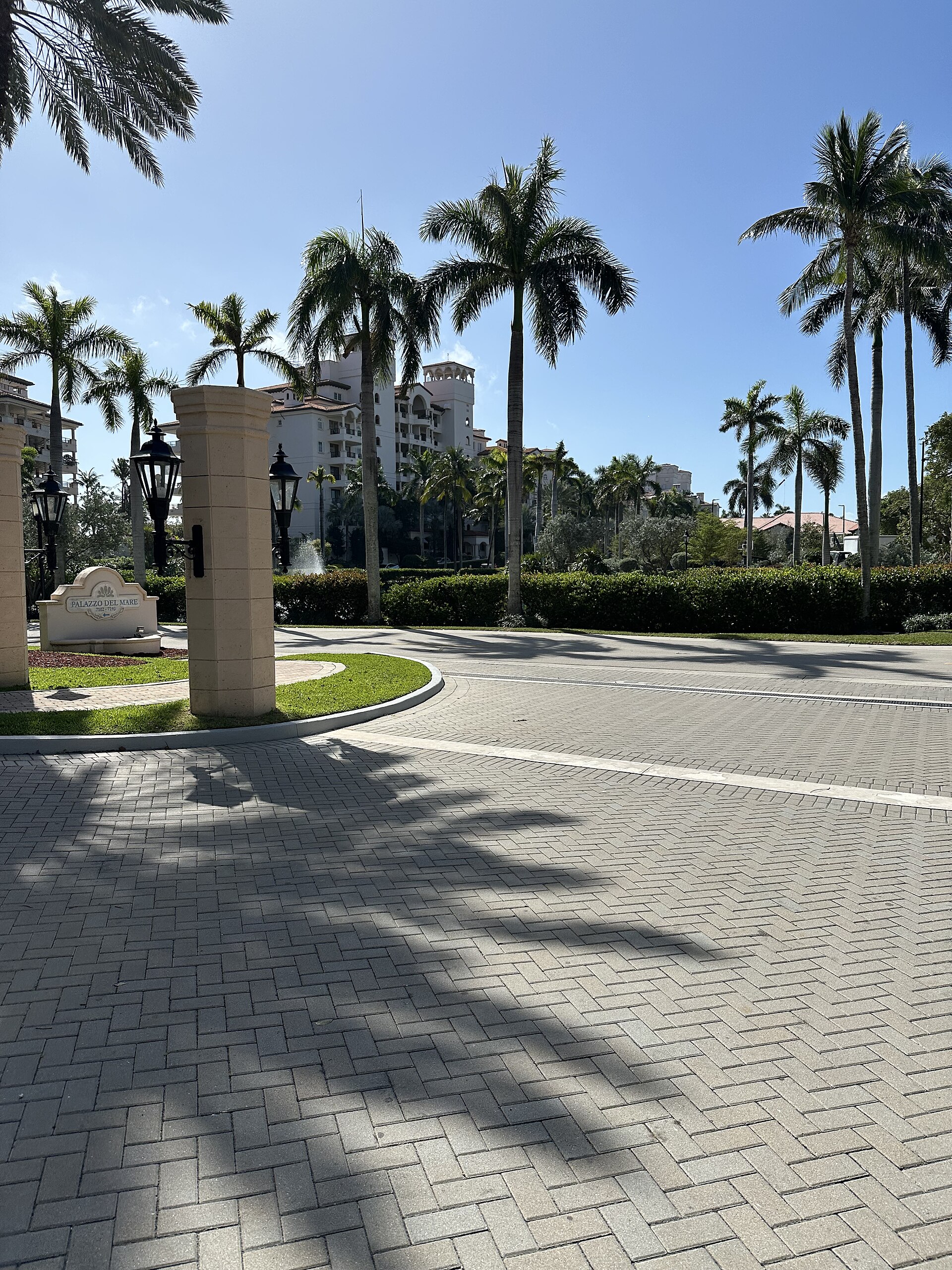 A grand gated entry with tall royal palms and a luxury residential tower behind.