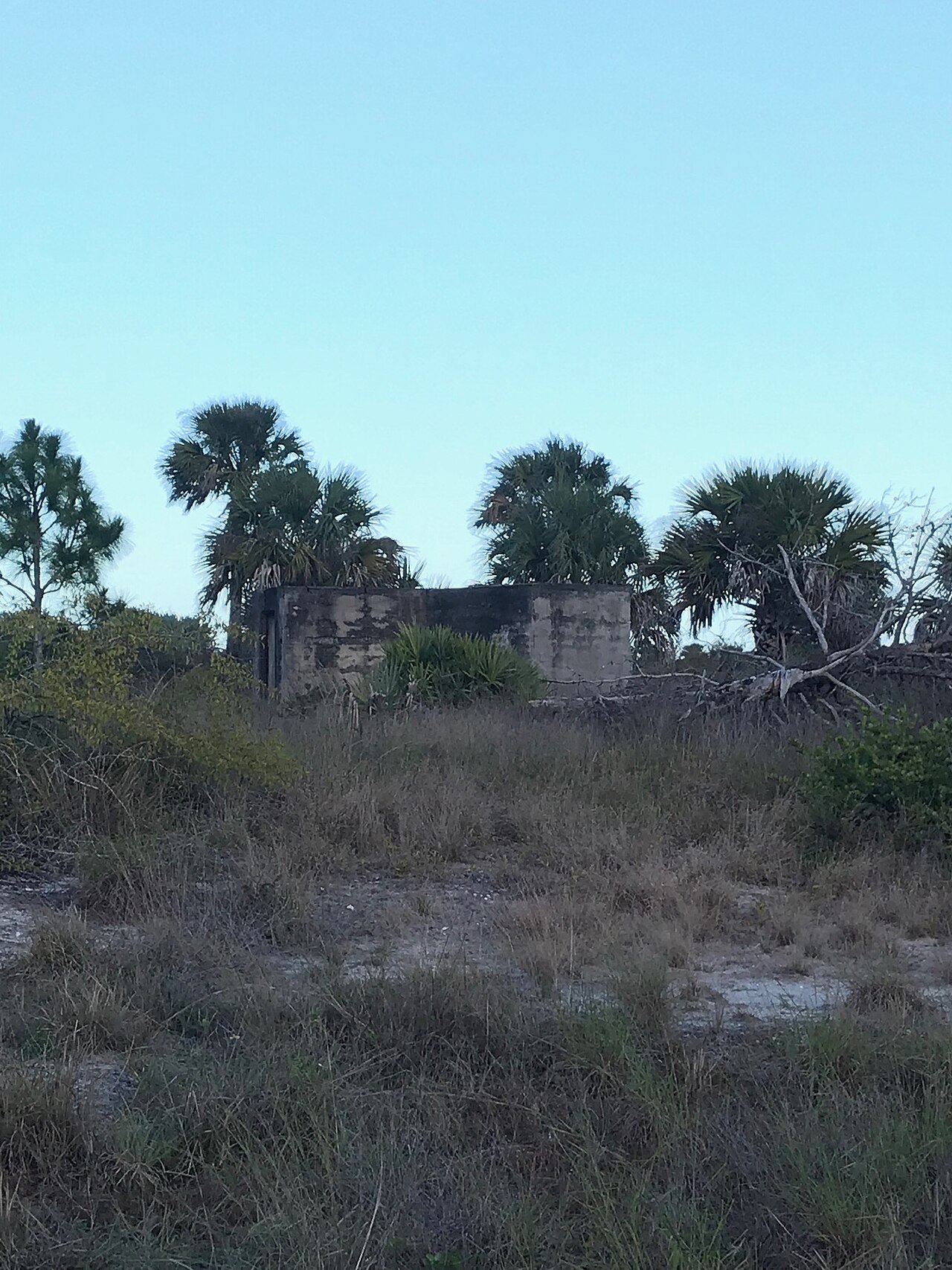 A weathered concrete foundation structure in scrubby coastal vegetation with palm trees.