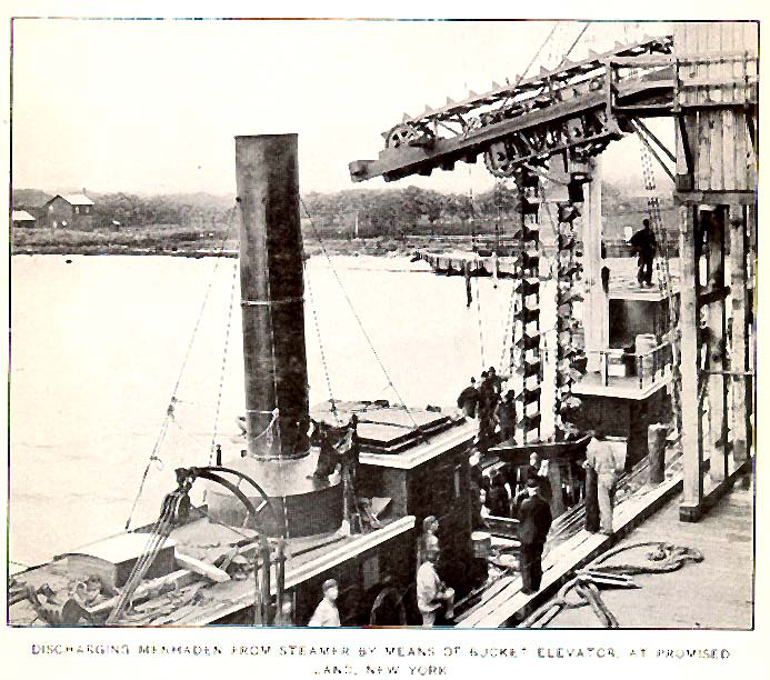 A black-and-white view of fishermen unloading a steamer with a bucket elevator at a wooden dock.