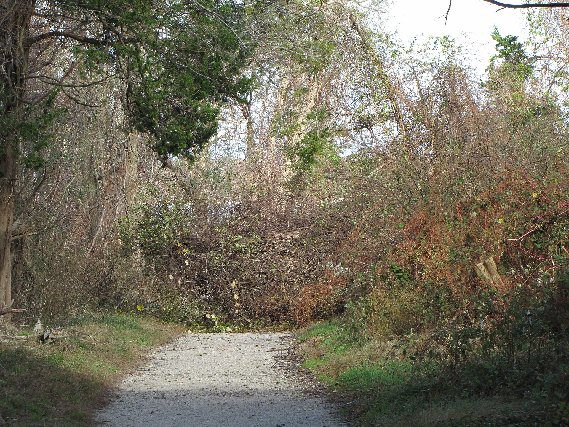 Wooded beach trail at the Elizabeth A. Morton National Wildlife Refuge near Noyack