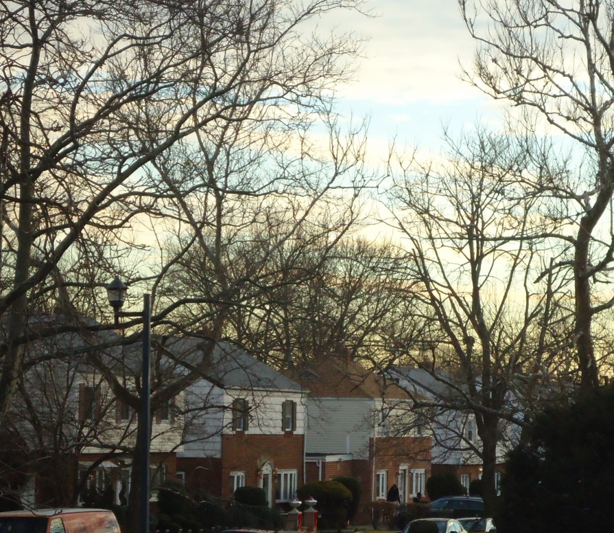 Suburban street lined with brick houses and bare trees in winter.