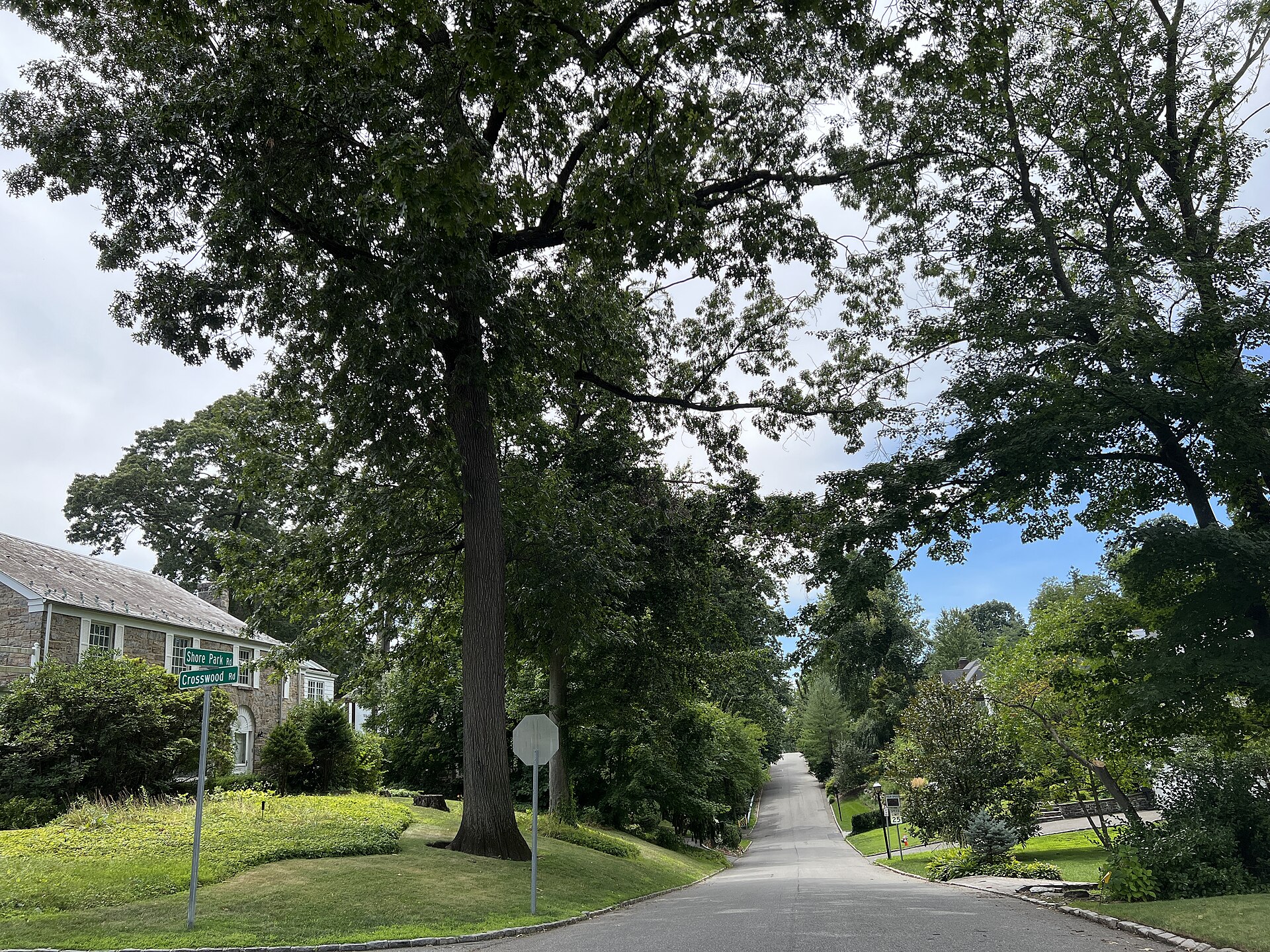 Tree-lined residential street in Harbor Hills