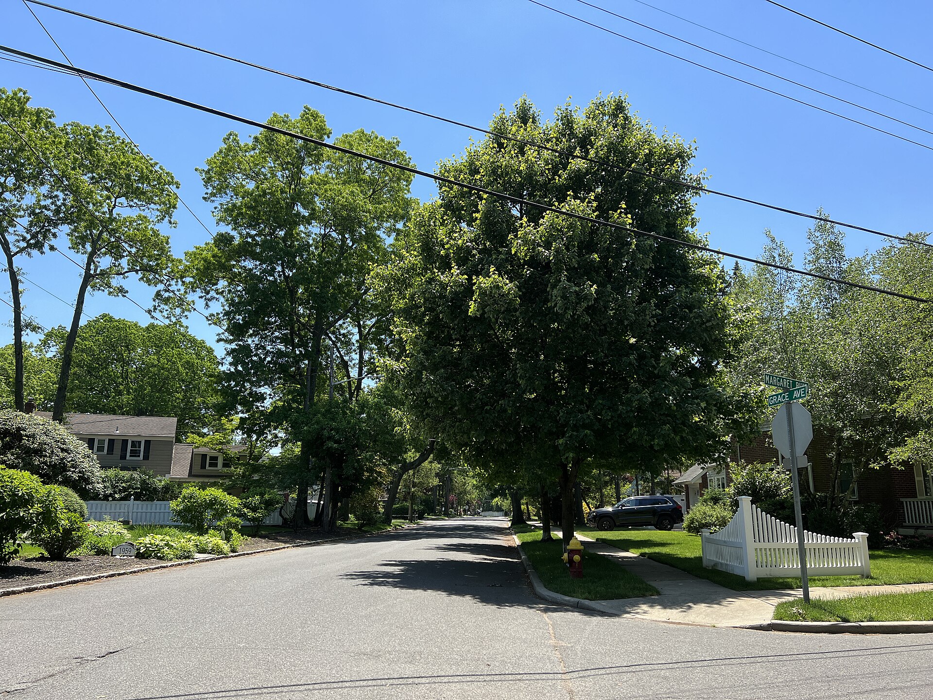A tree-lined residential street in Merrick, New York