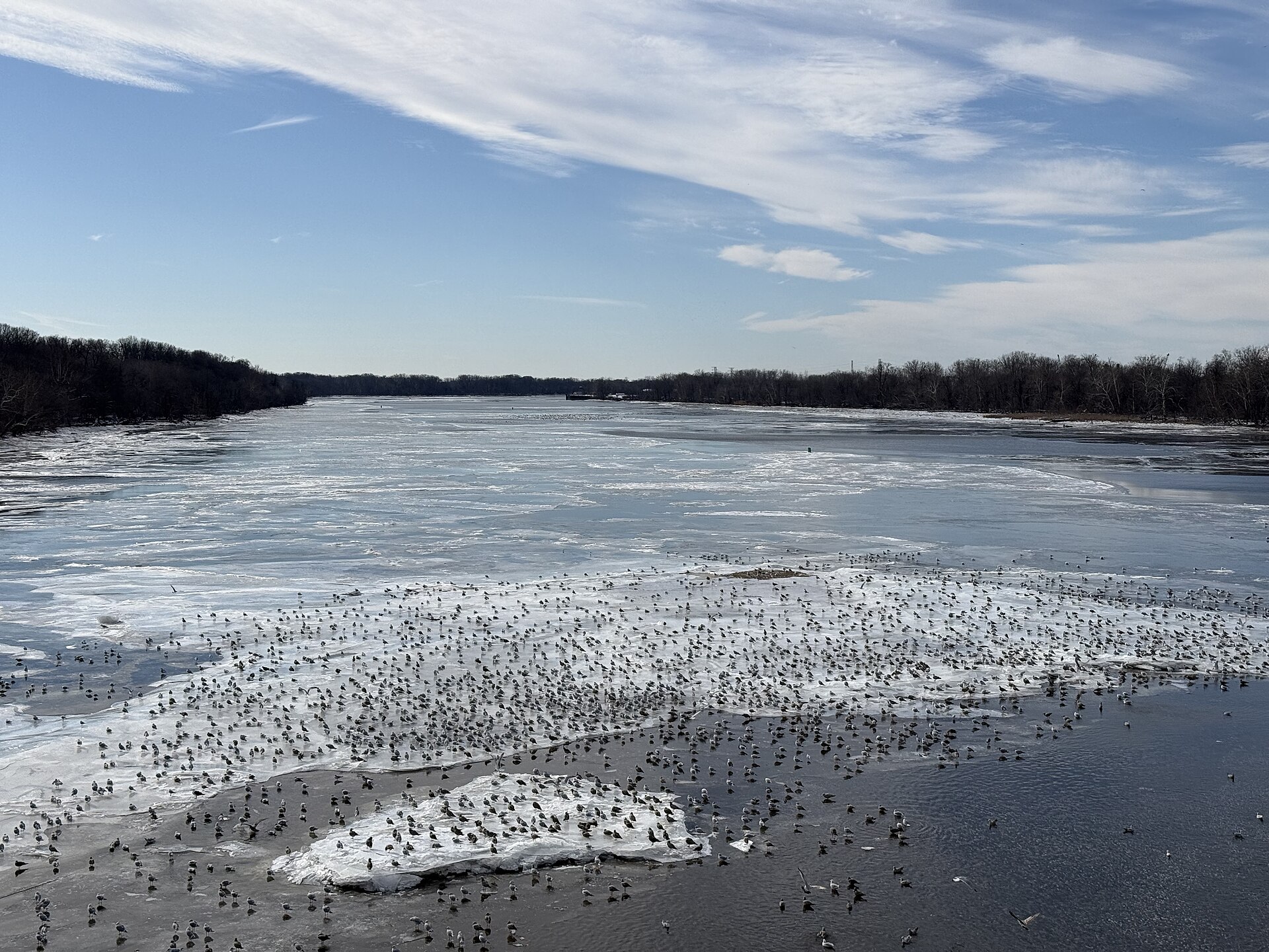 Icy Delaware River near Crosswicks New Jersey