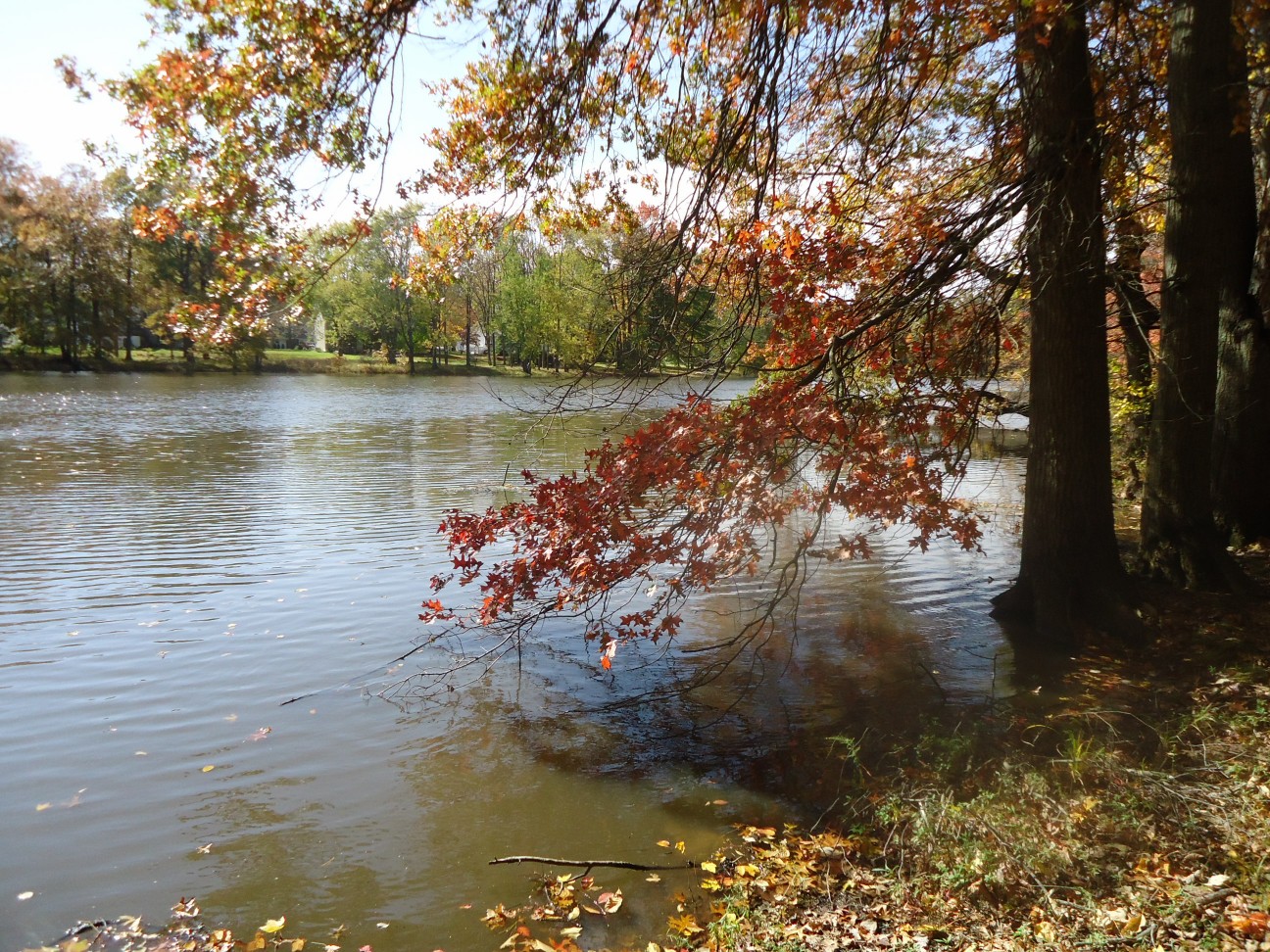 A river in Gillette, New Jersey, framed by trees with autumn colors.