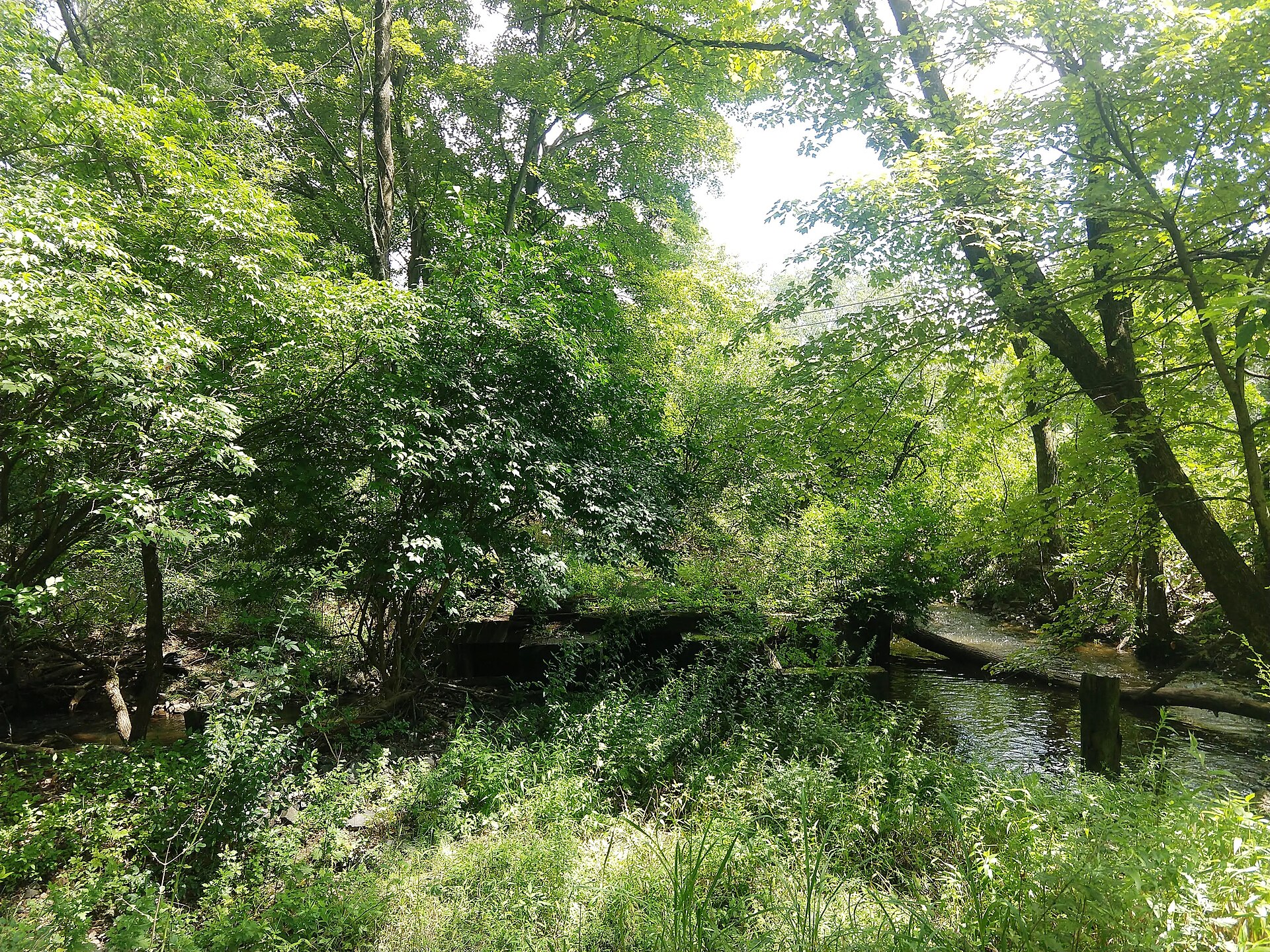 The stone remnants of an old railroad bridge over Heathcote Brook in South Brunswick, New Jersey.