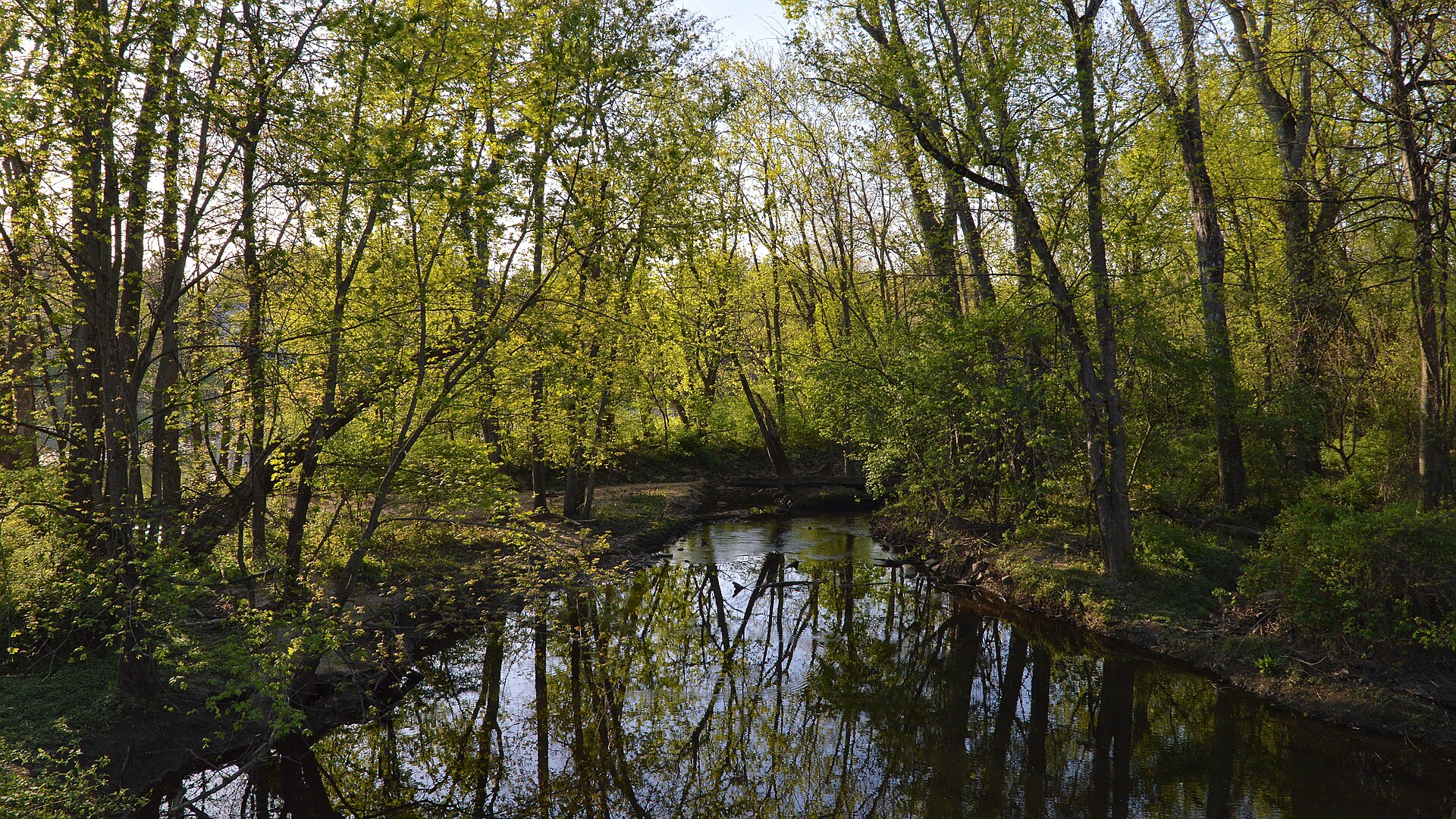 Heathcote Brook flowing through a wooded area in South Brunswick, New Jersey.