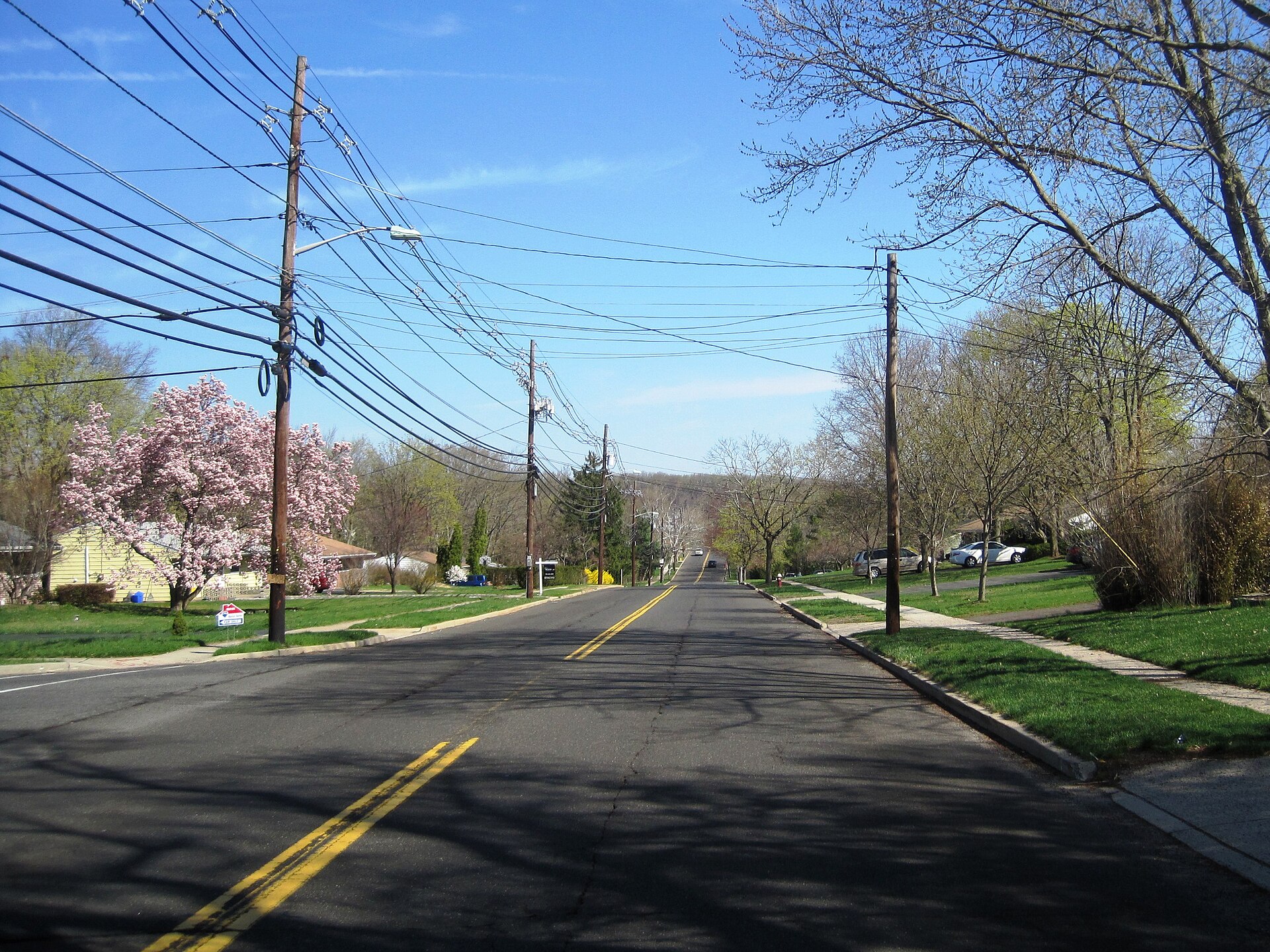 A tree-lined suburban street in Kendall Park, New Jersey, with houses and spring blossoms.