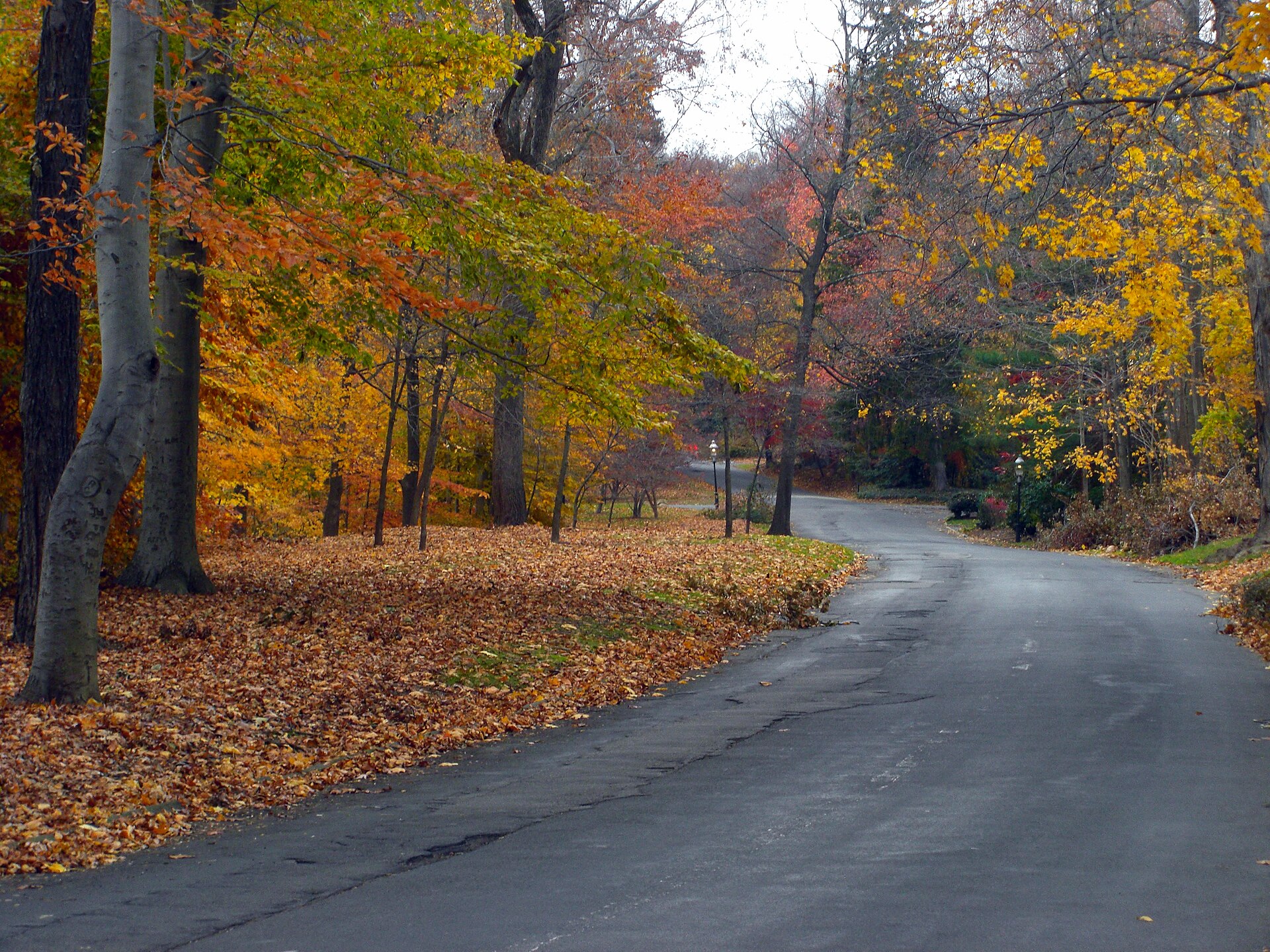 Tree-lined private road in Llewellyn Park in fall color