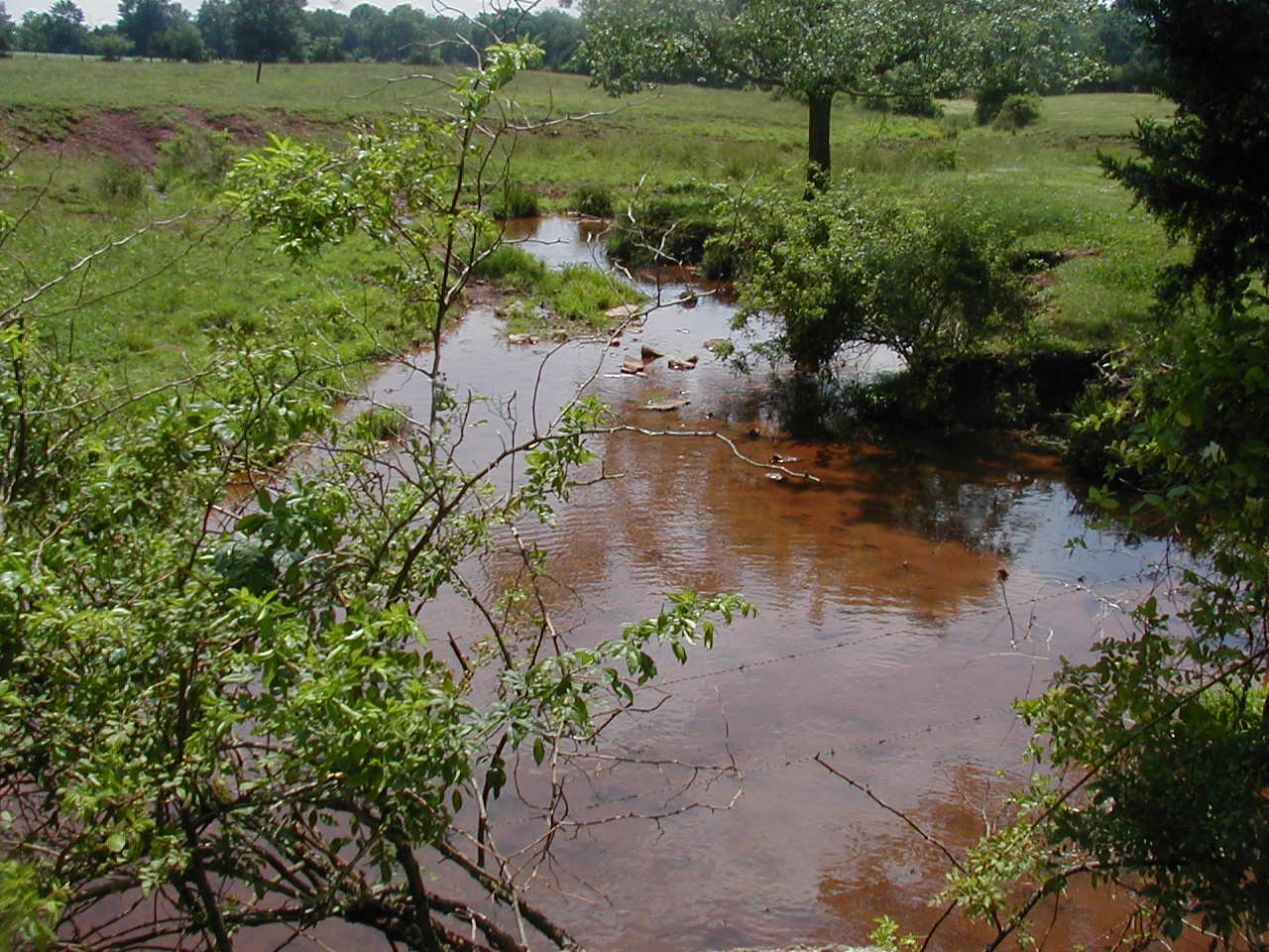 Middlebush Brook crossing Bennets Lane at a dairy farm.