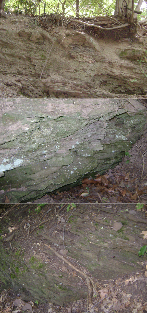 Close-up of layered Towaco basalt rock in the Watchung Mountains