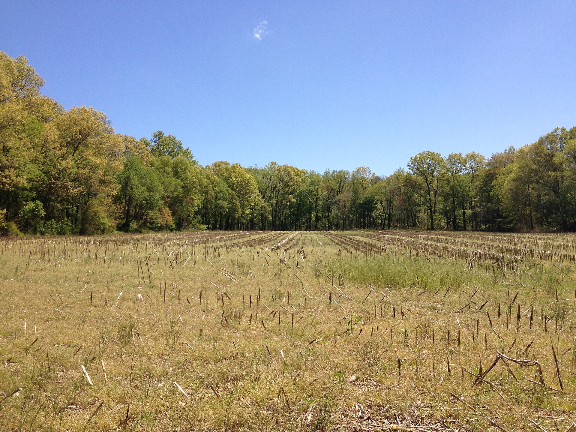 A farm field along Meadowbrook Road in Robbinsville Township, New Jersey