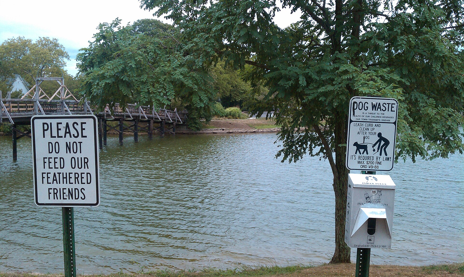 The lake with its footbridge in Spring Lake