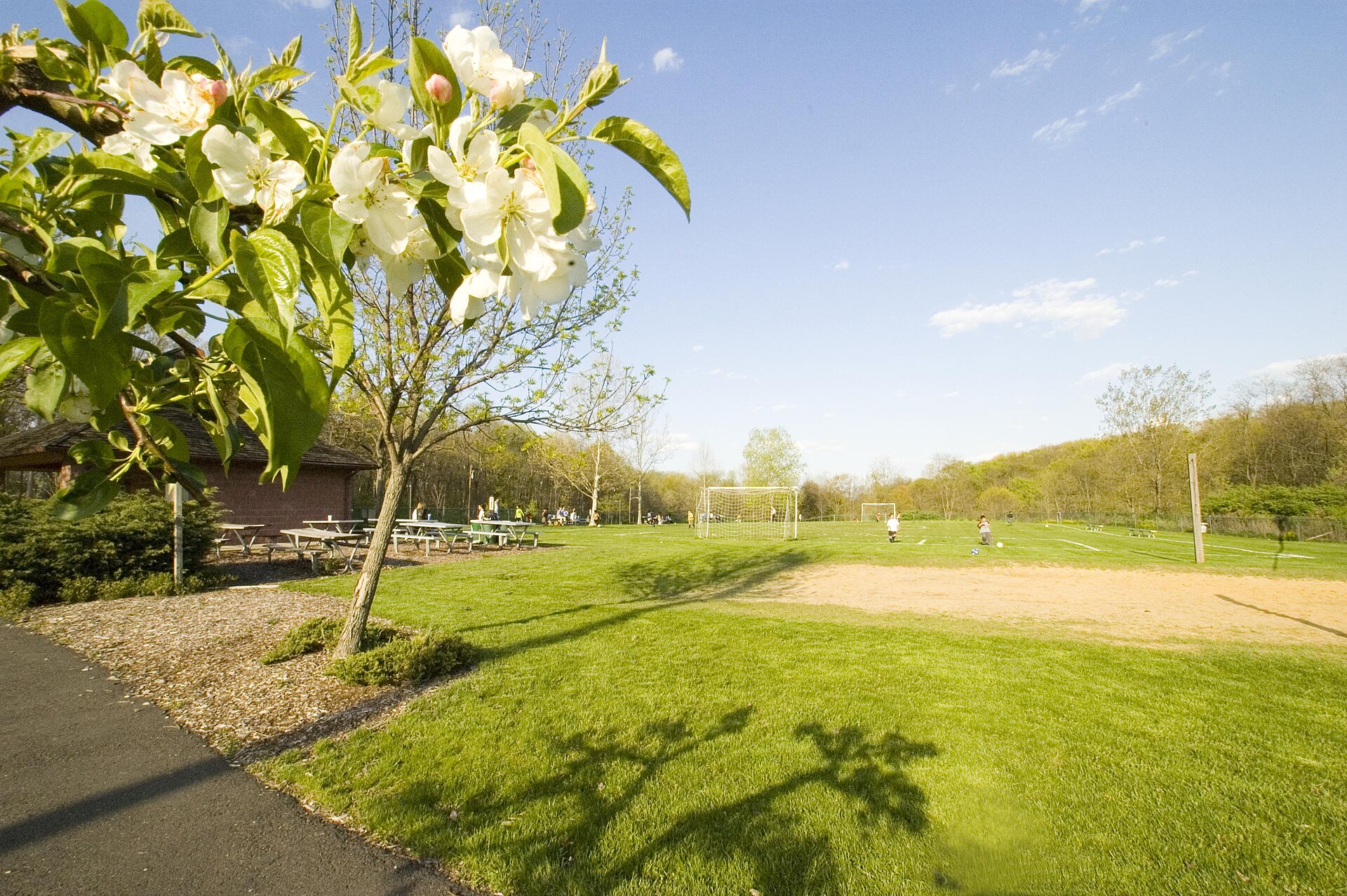 Central Park in Whippany, New Jersey.
