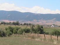 Open fields with the Bighorn Mountains beyond, near Big Horn