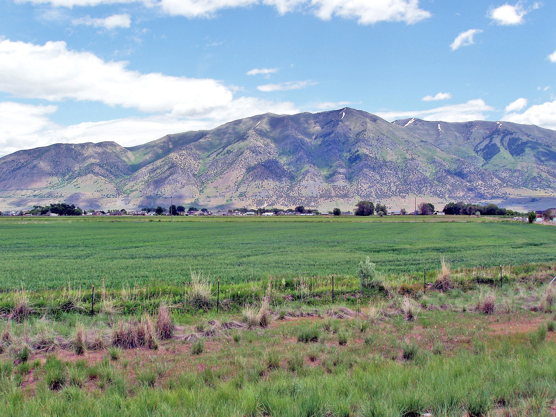 Elwood with Mendon Peak rising behind green fields