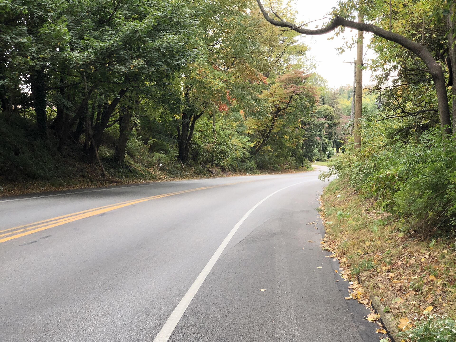 View south along Pennsylvania State Route 320 (Providence Road) just south of Laurie Lane in Nether Providence Township, Delaware County, Pe
