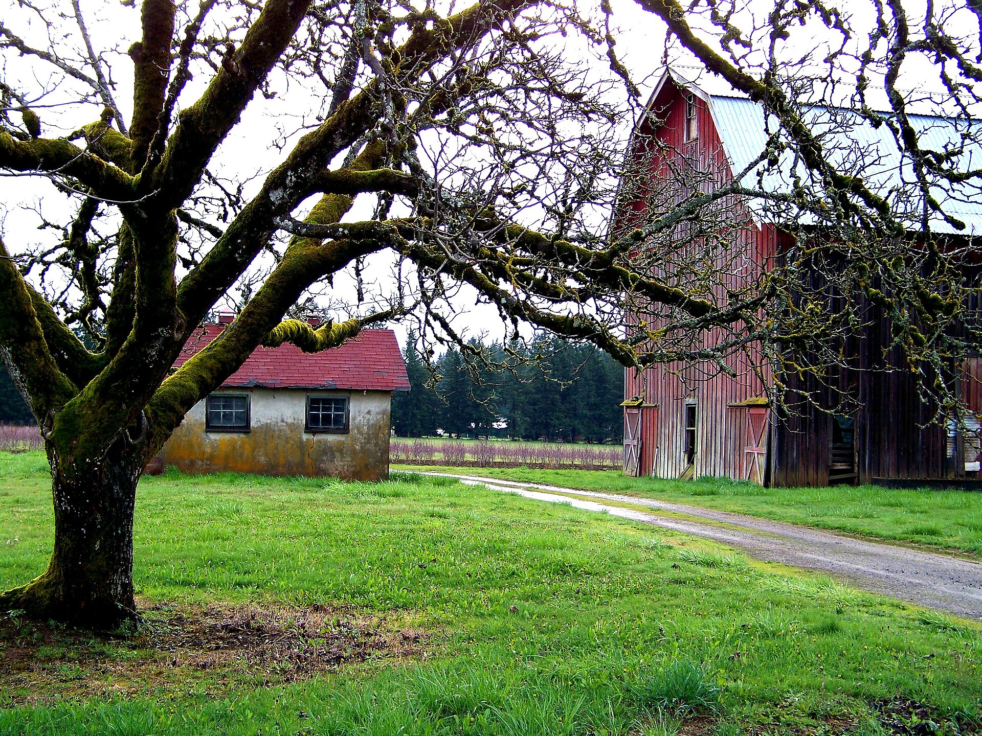 Farm with red barn in Boring, Oregon