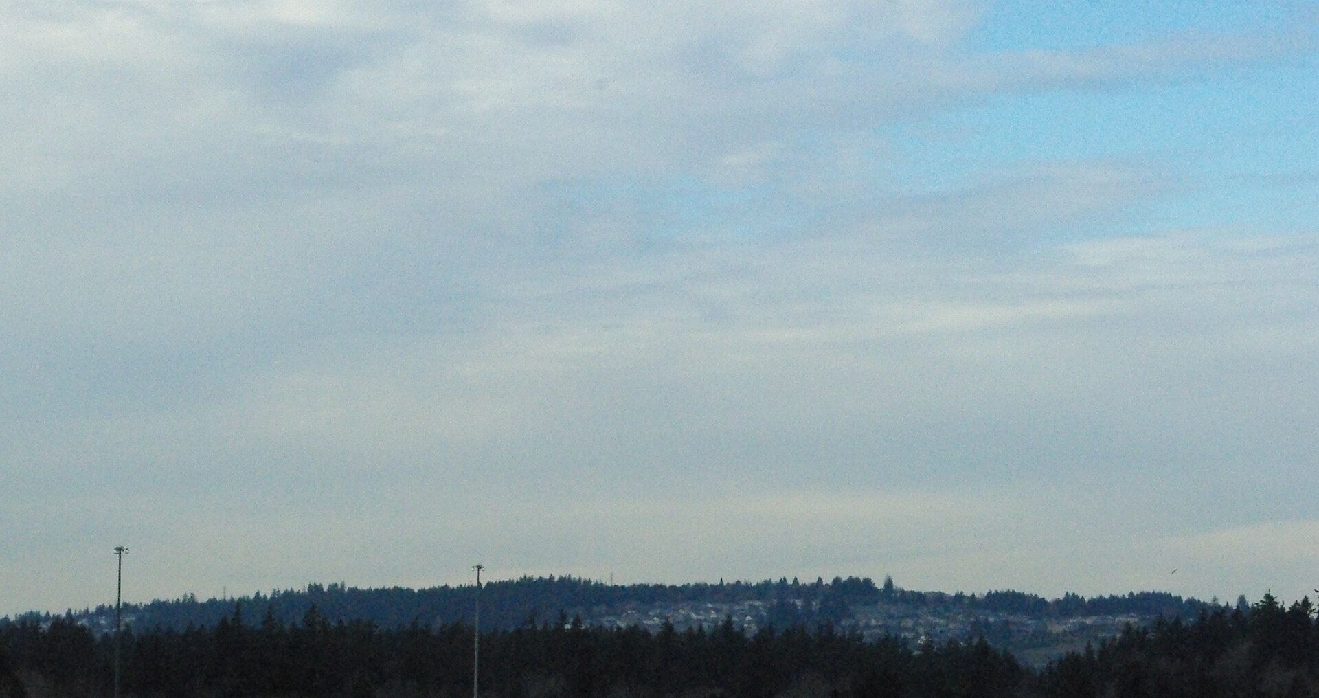 Bull Mountain rising above the trees, seen from Tualatin, Oregon.