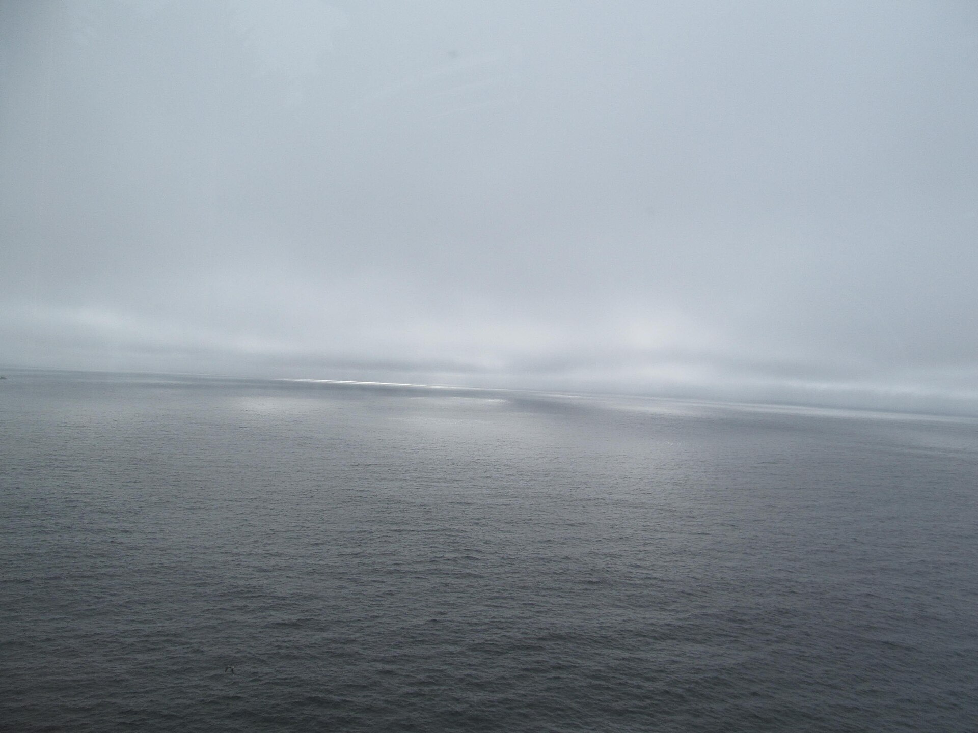 Gray ocean under foggy skies off Cape Meares