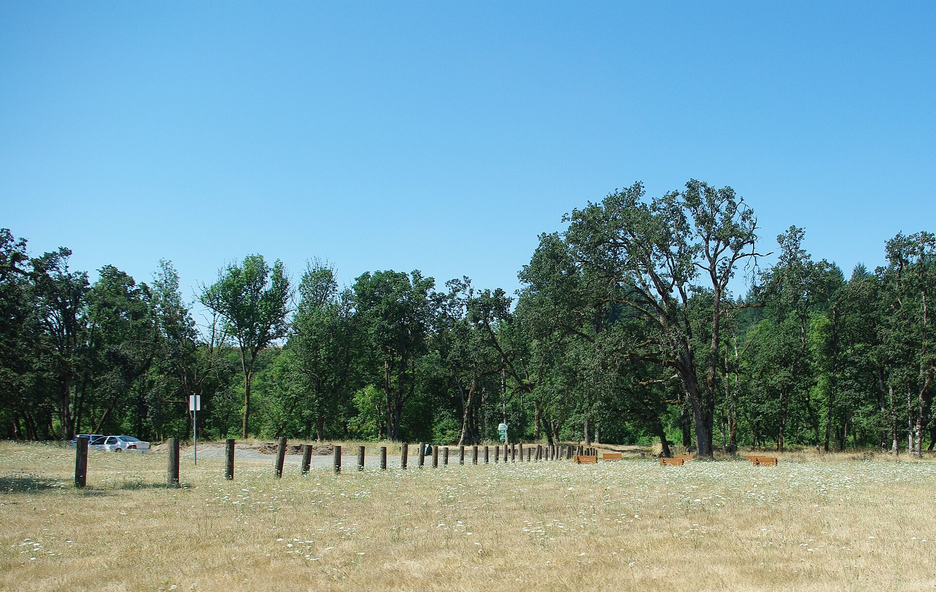 A grassy city park with trees in Turner Oregon.