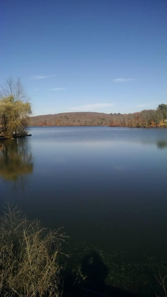 Swan Lake in the town of Liberty, New York (Sullivan County)