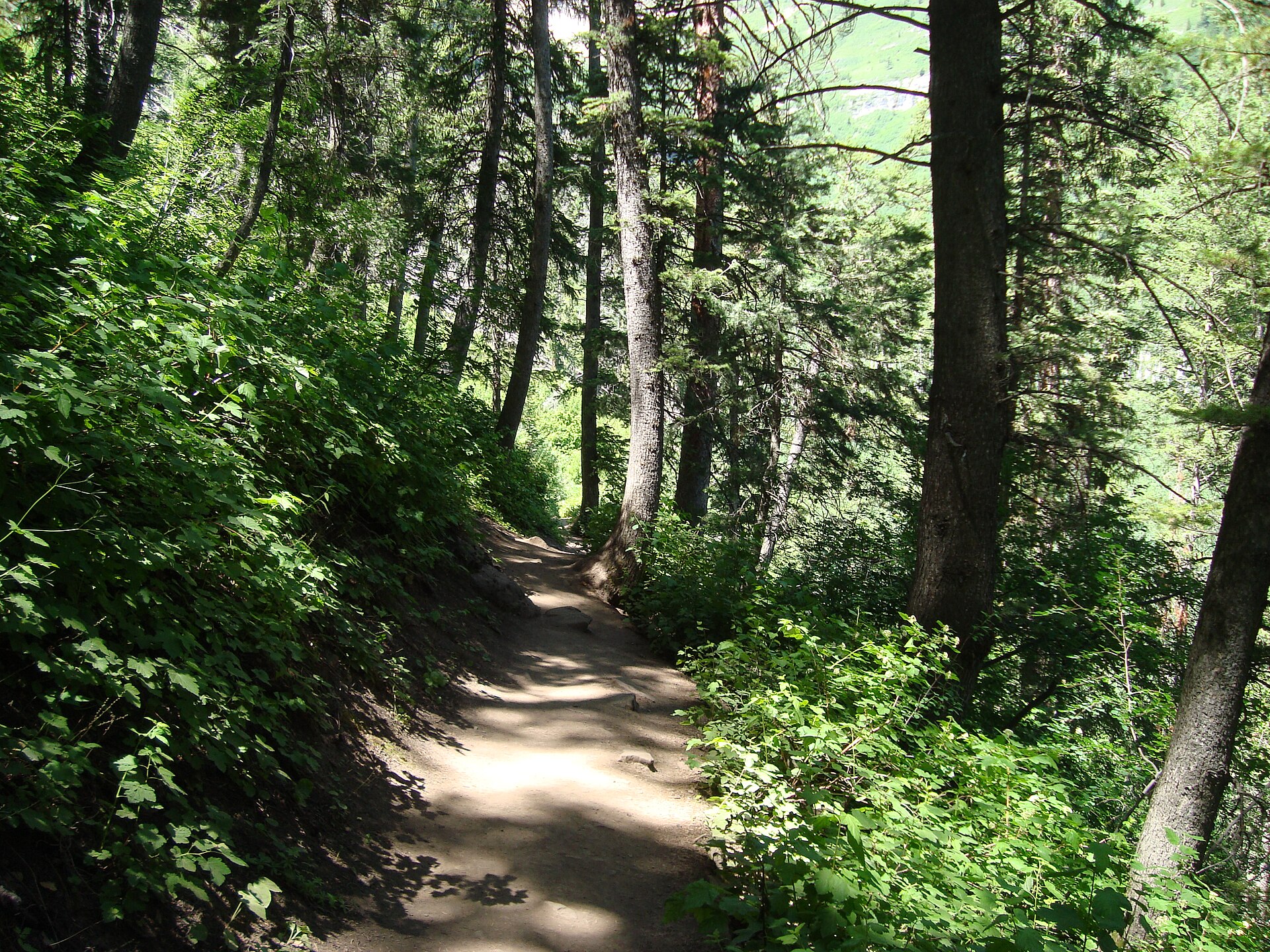 Walking trail along the Alpine Scenic Highway near Sundance