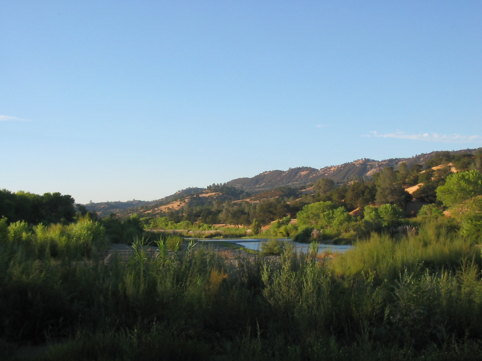 Cache Creek flowing near Guinda in summer