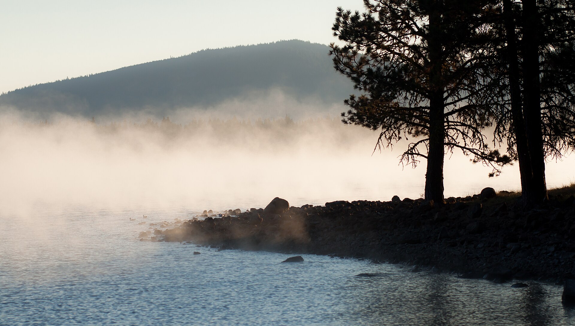 Morning fog drifting over Lake Almanor
