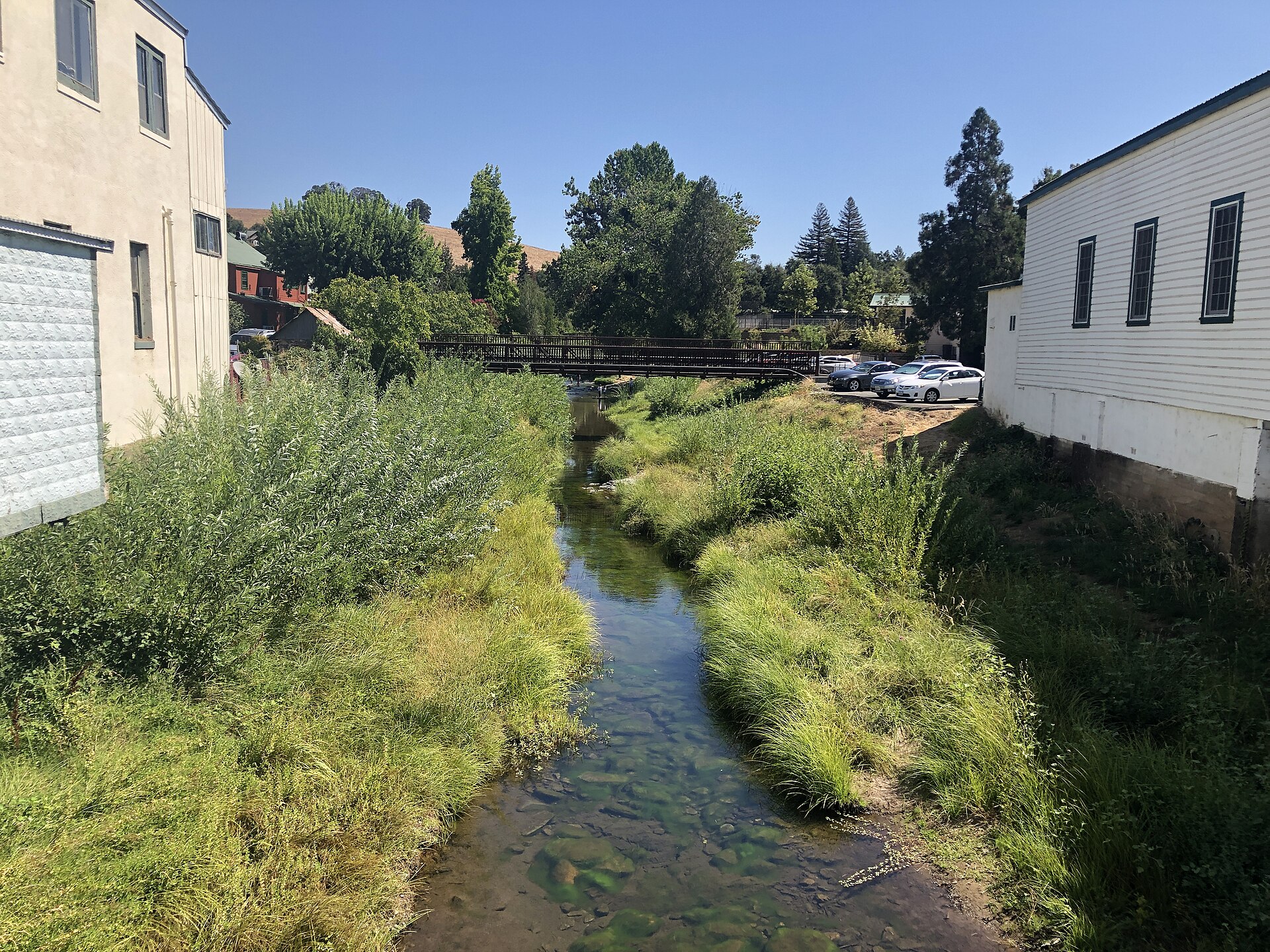 A creek flowing between buildings in downtown Sutter Creek California.