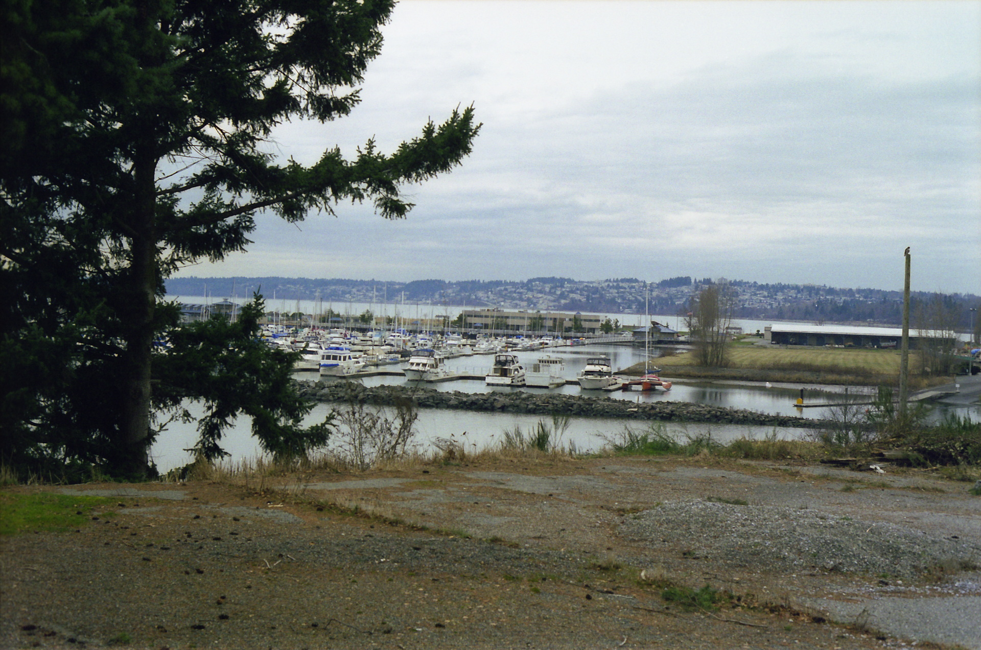 Boats moored at the marina in Blaine, Washington.