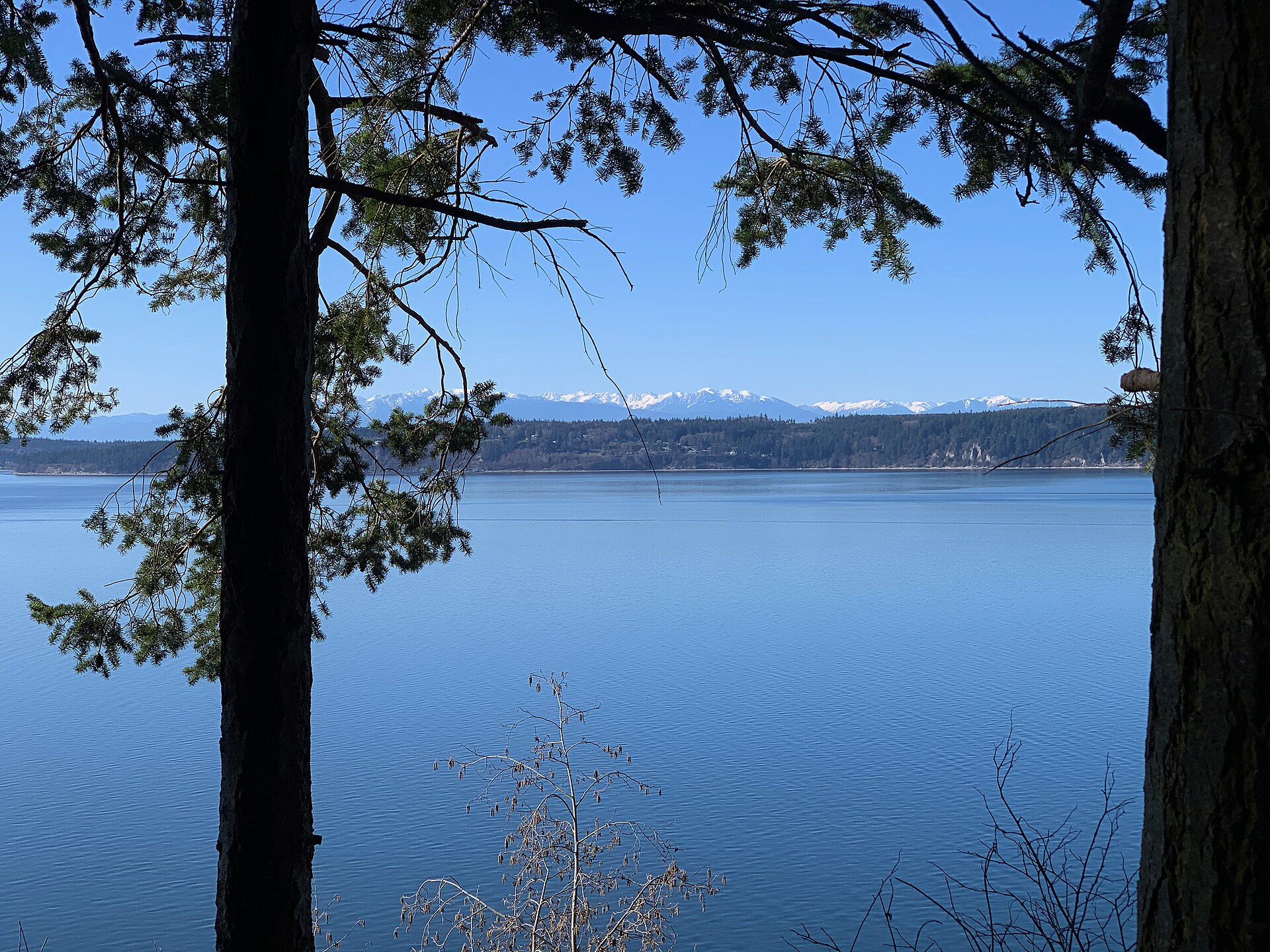 Calm blue water with snow-capped mountains in the distance, framed by trees.