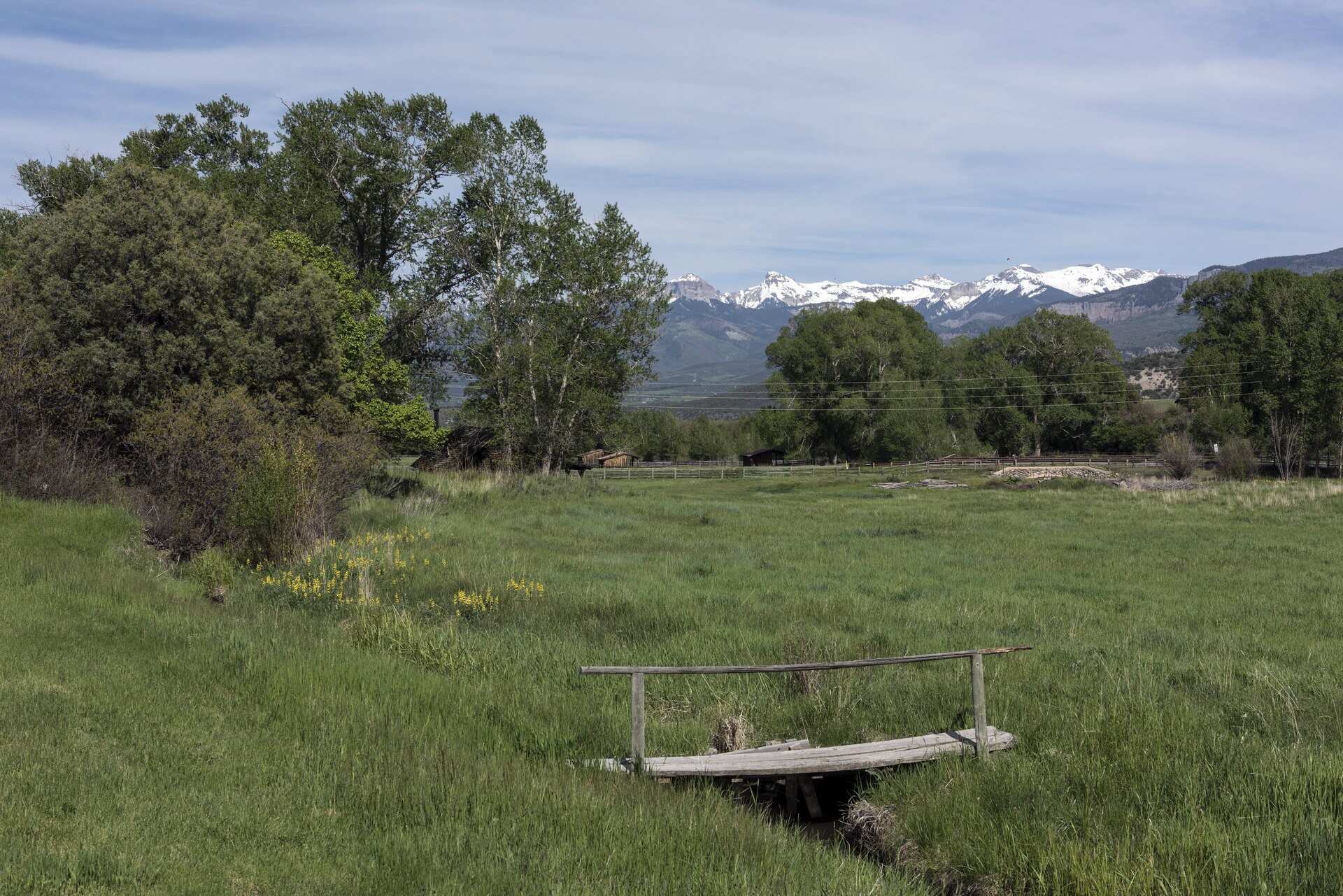 Footbridge over a stream in a green meadow with the San Juan Mountains behind