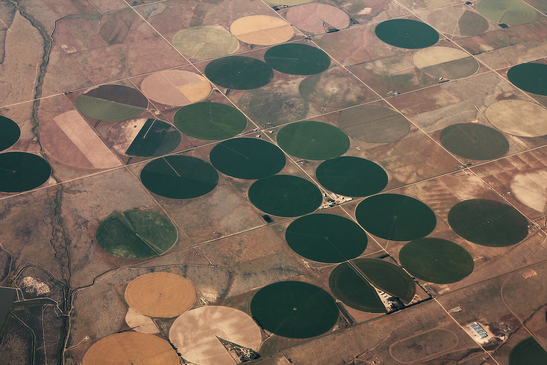 Aerial view of circular irrigated fields near San Acacio, Colorado