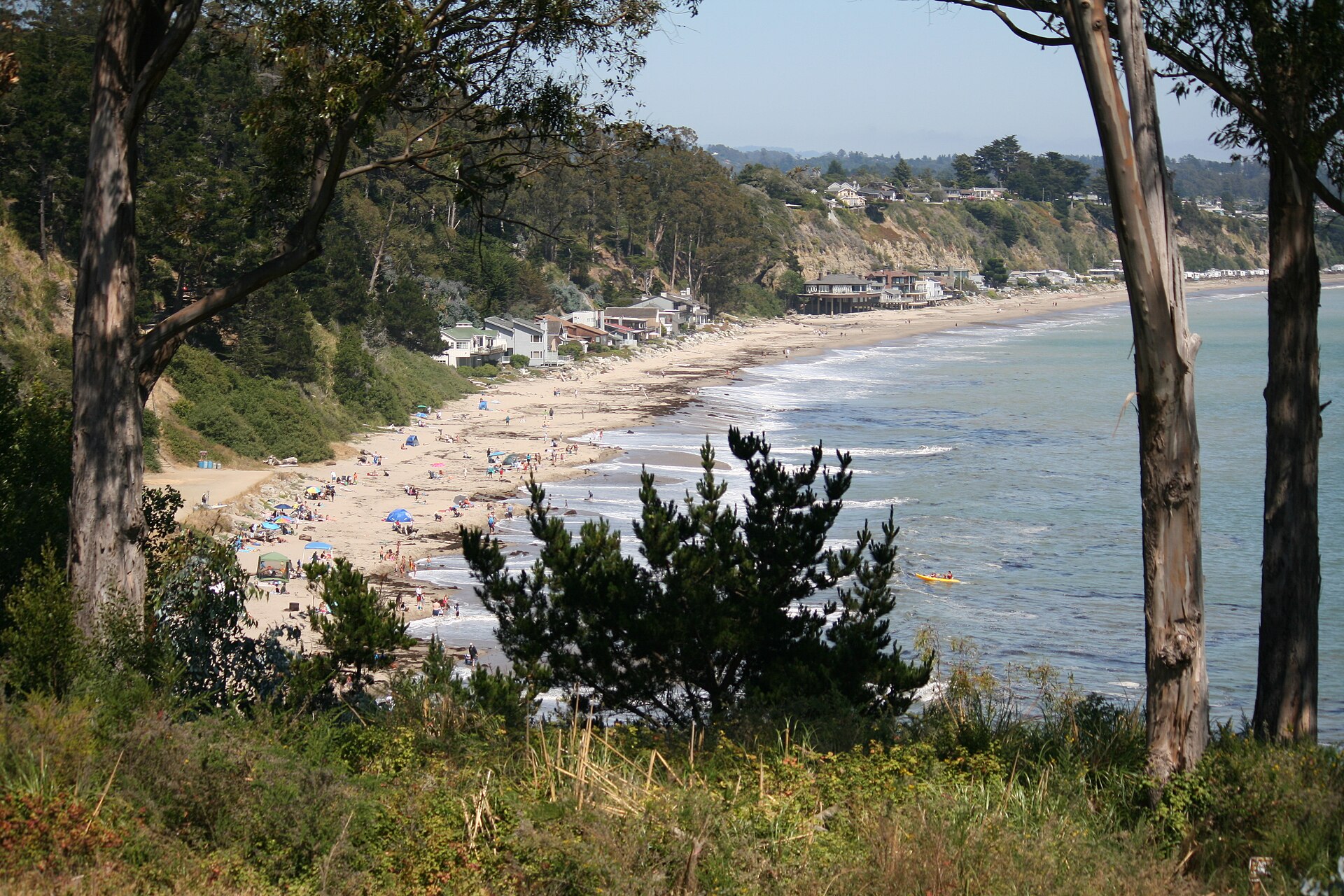 New Brighton State Beach near Capitola California