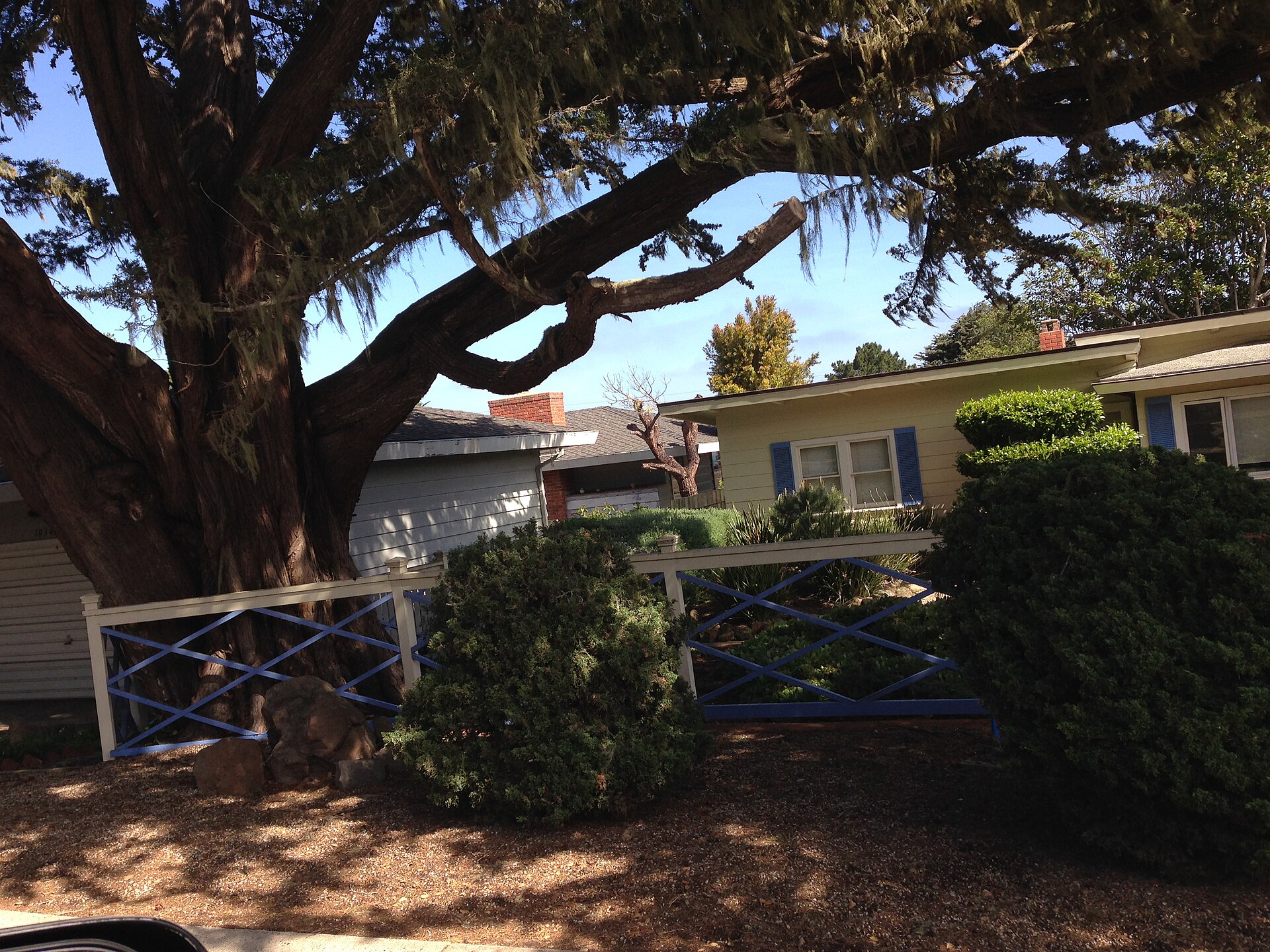 Street view in Pacific Grove