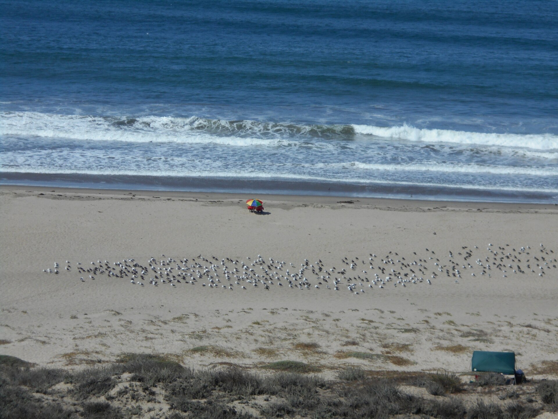 Sunset Beach on Monterey Bay near Pajaro Dunes