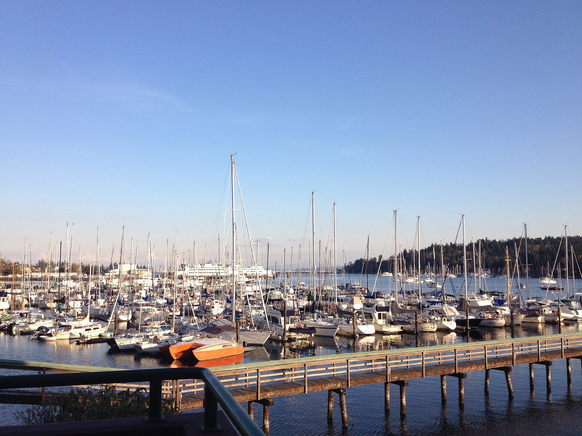 Sailboats moored at the marina on Bainbridge Island with forested shoreline beyond.
