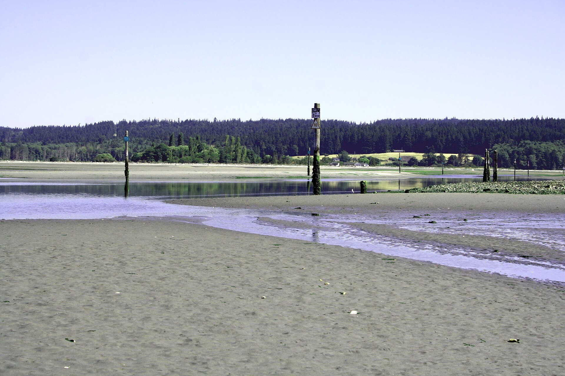 Exposed tidal flats at low tide on a Clinton, Washington beach.