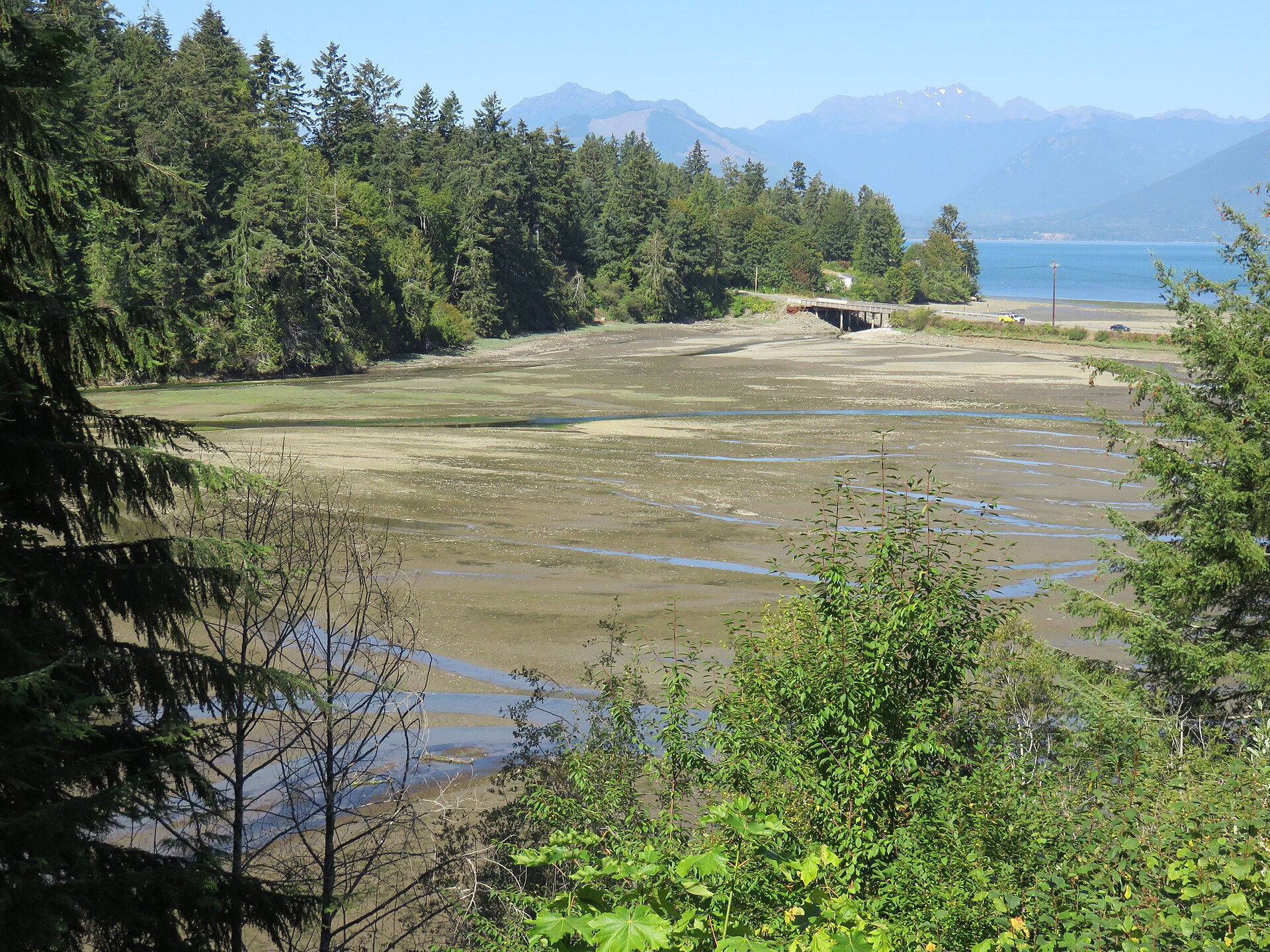Tidal flats at Big Beef Bay near Seabeck, Washington, with the Olympic Mountains in the distance