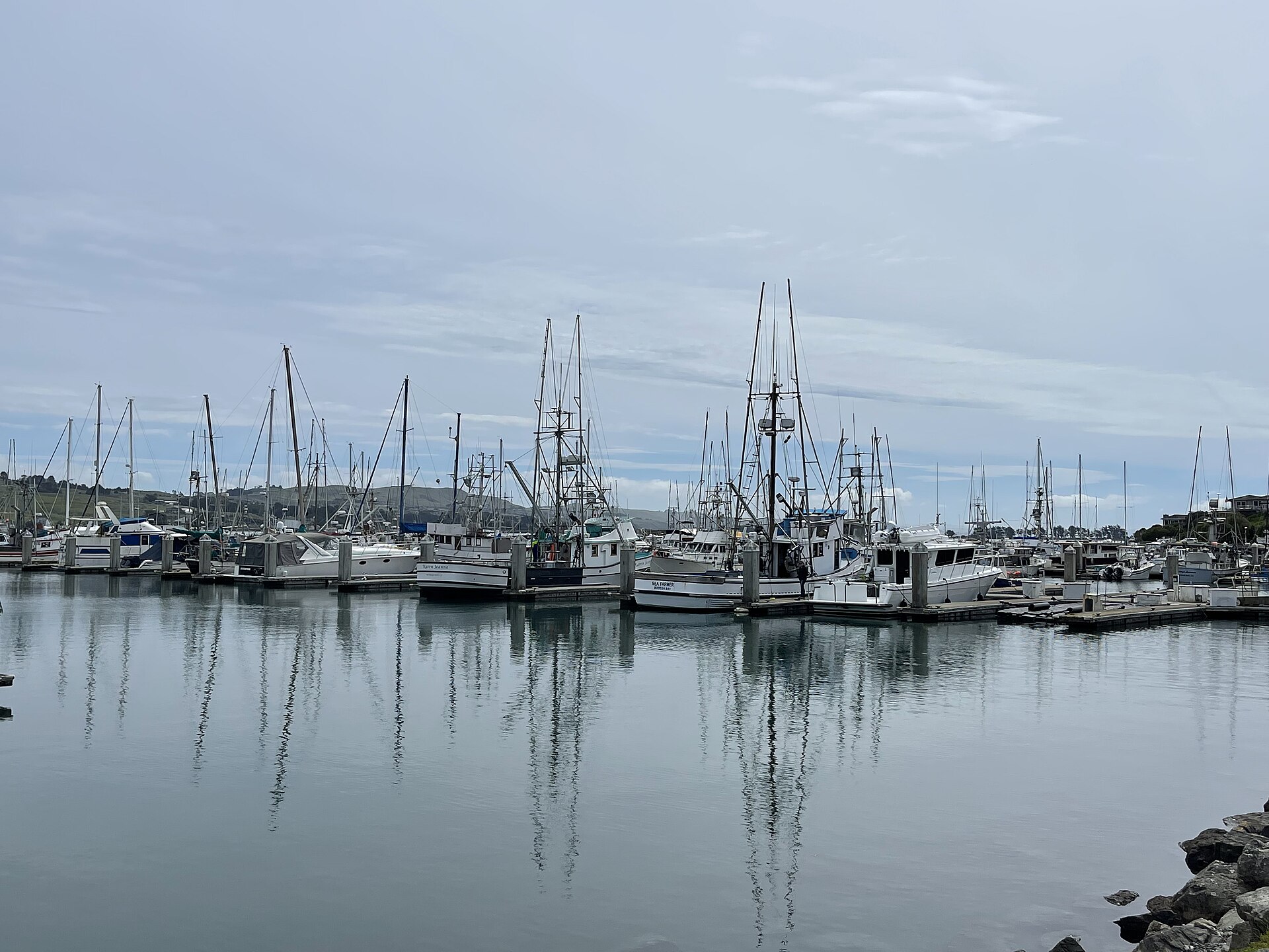 Fishing boats moored in Bodega Harbor on a calm day.